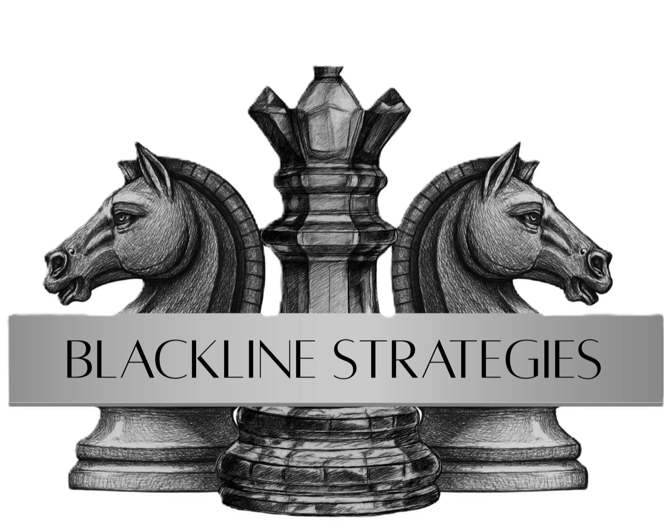 BLACKLINE STRATEGIES LLC