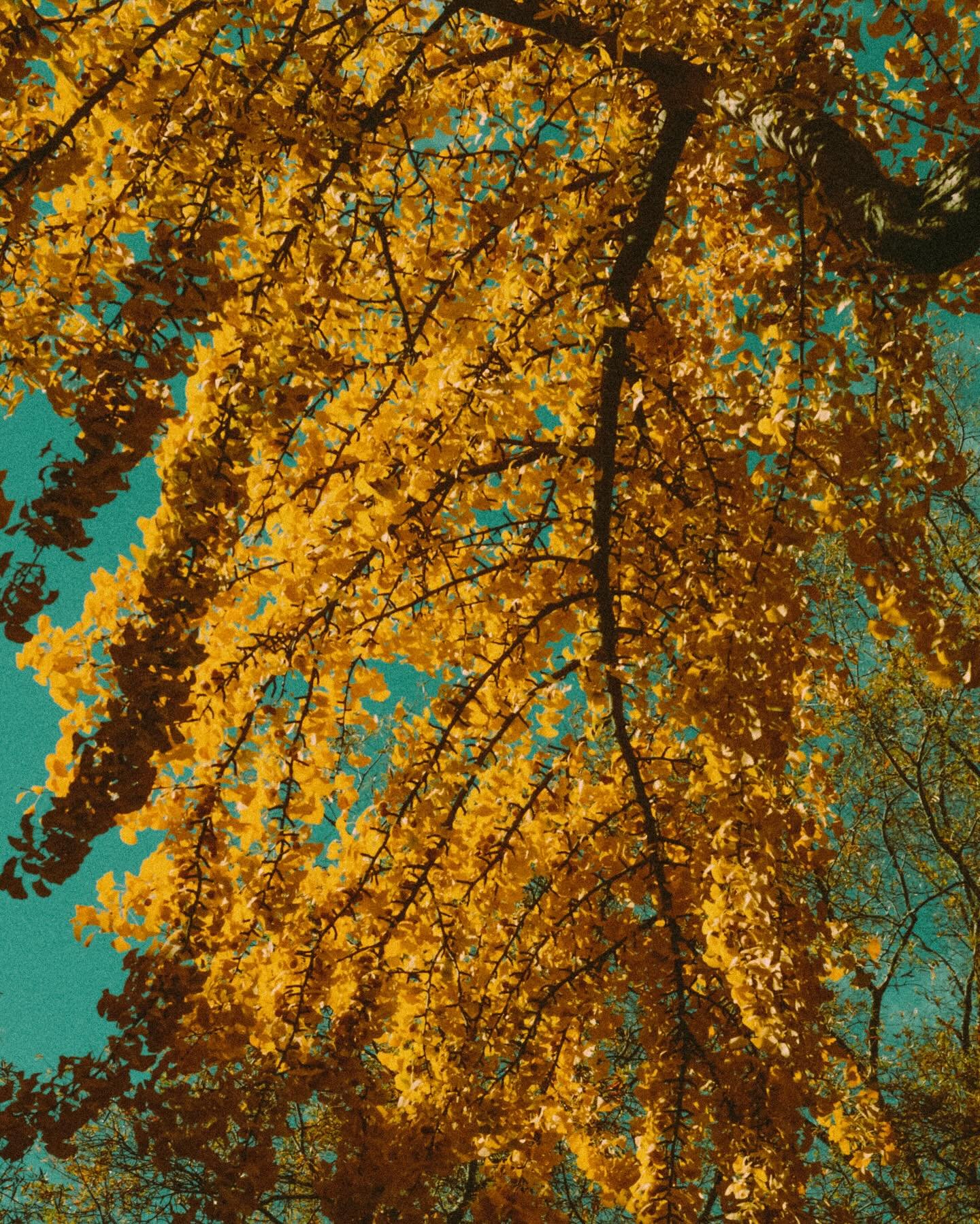 and just like that, another winter has begun.