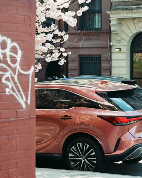 Spring in Bedstuy, Brooklyn. April 2026. 
Kodak Ultramax 400
Thanks to @exposuretherapy.nyc