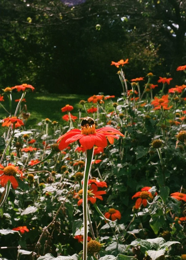 000170510012 2-2.jpg