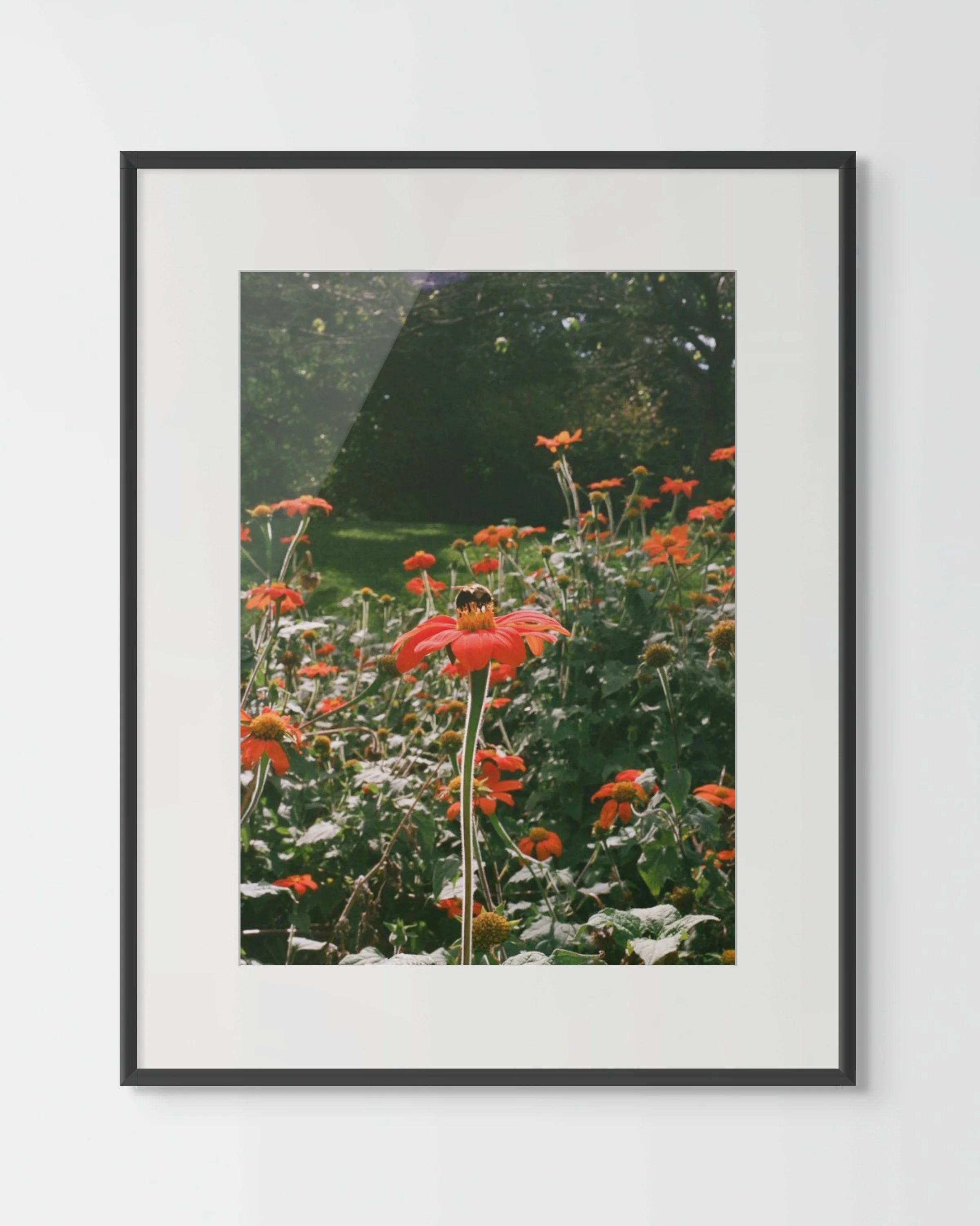 000170510012 2-2-full.jpg