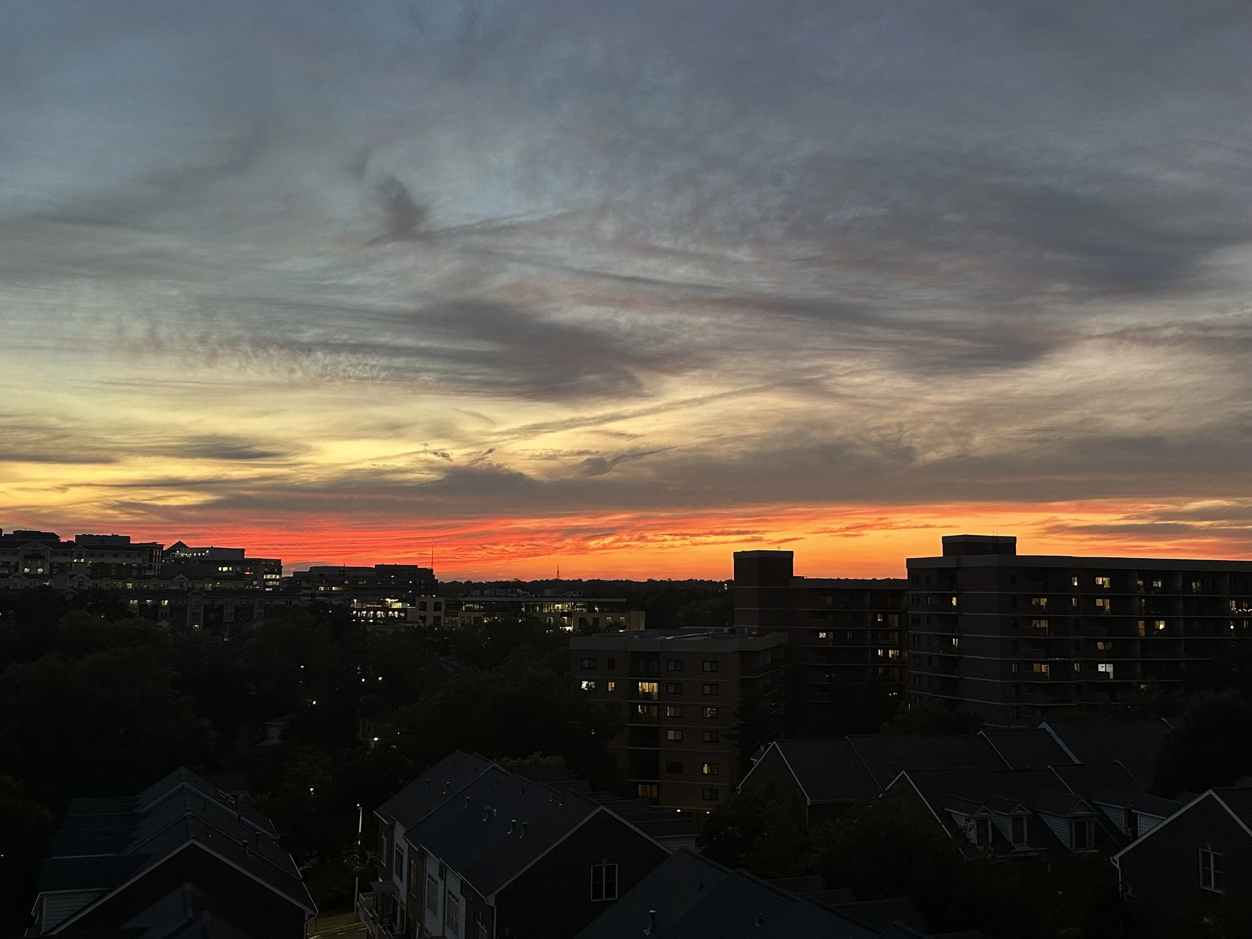 Renata Briggman sunset view from window at home