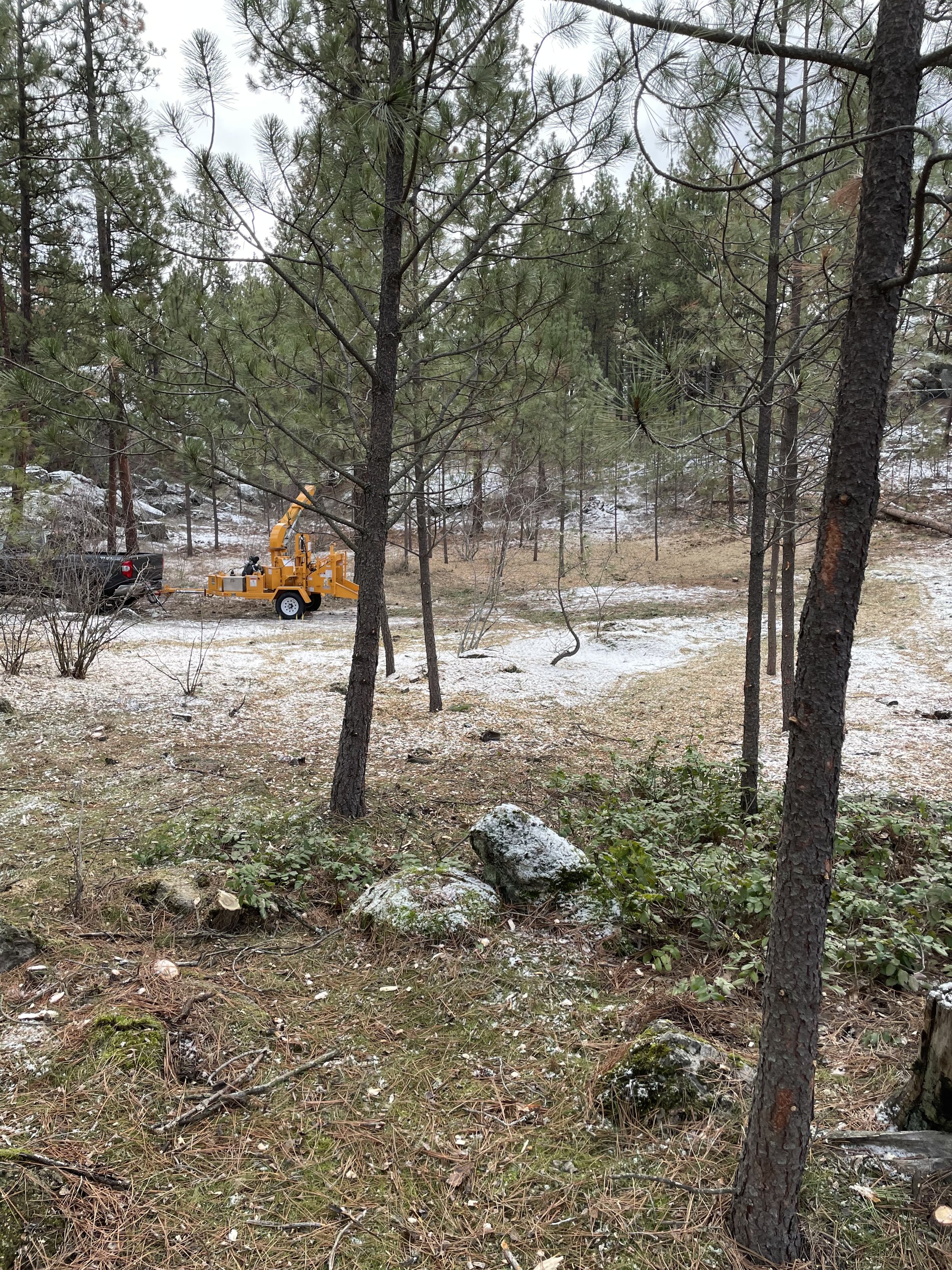 A woodland area with tall trees and scattered rocks, some snow on the ground, and a yellow wood chipper attached to a black truck in the background.
