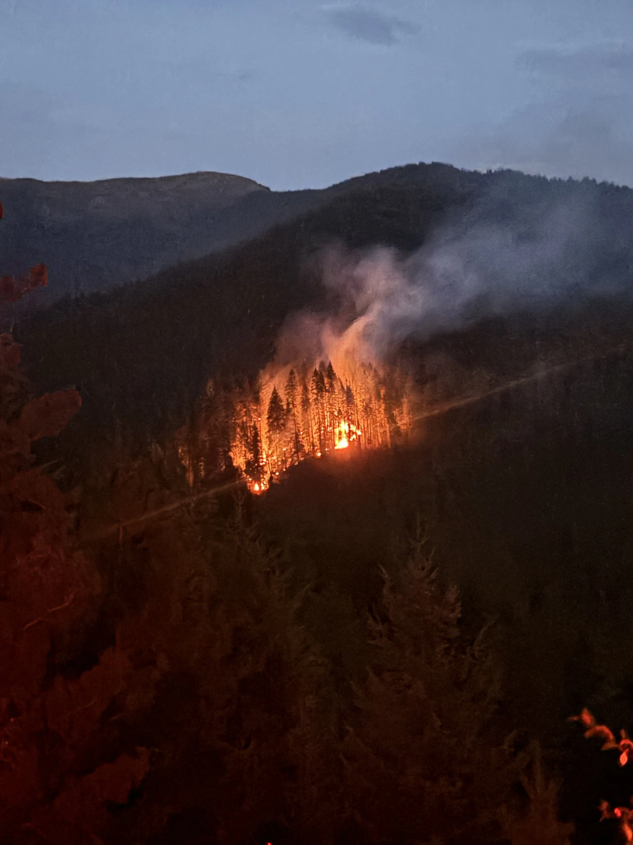 A wildfire burning on a hillside in a forested area at dusk, with flames and smoke rising among trees.