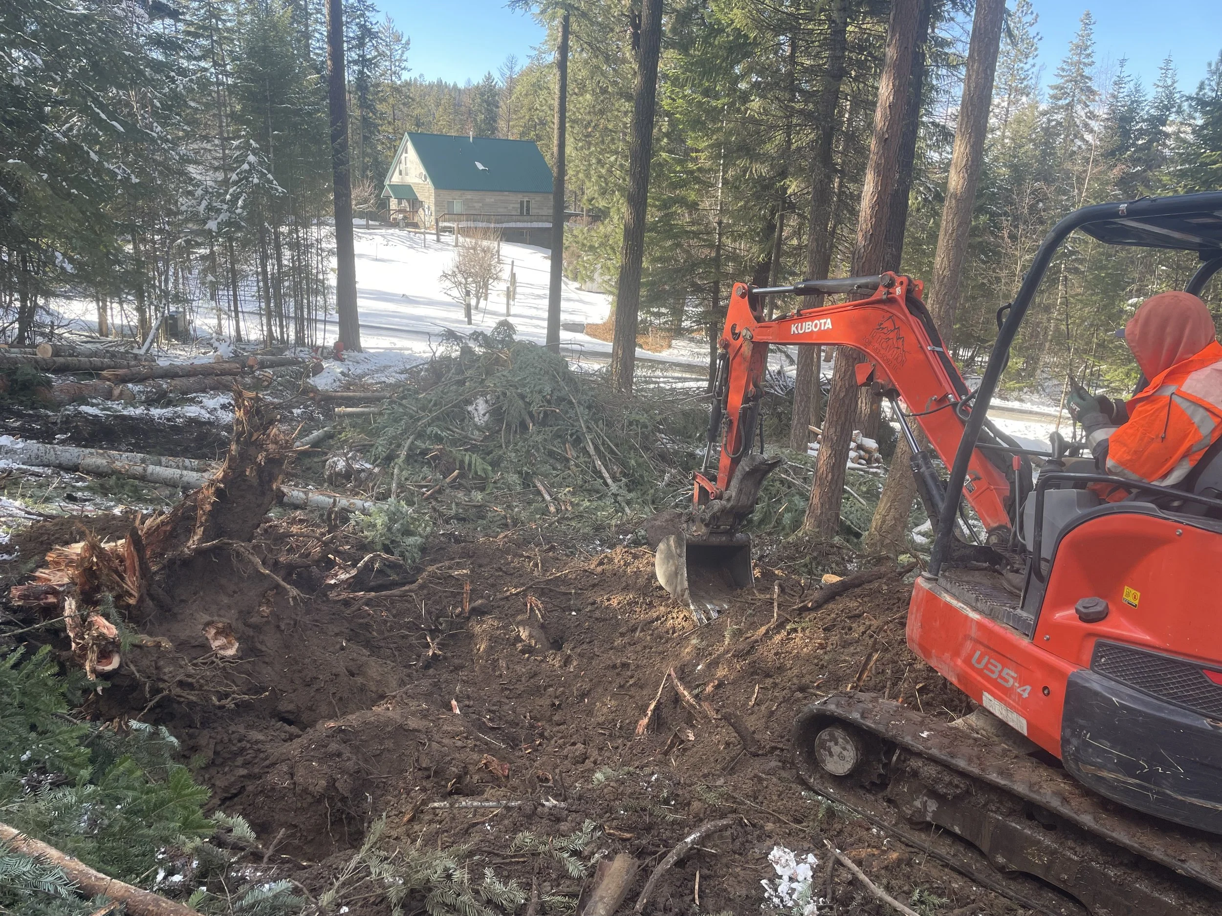A person operating an orange Kubota mini excavator in a wooded area during winter, with a fallen tree and a house visible in the background.