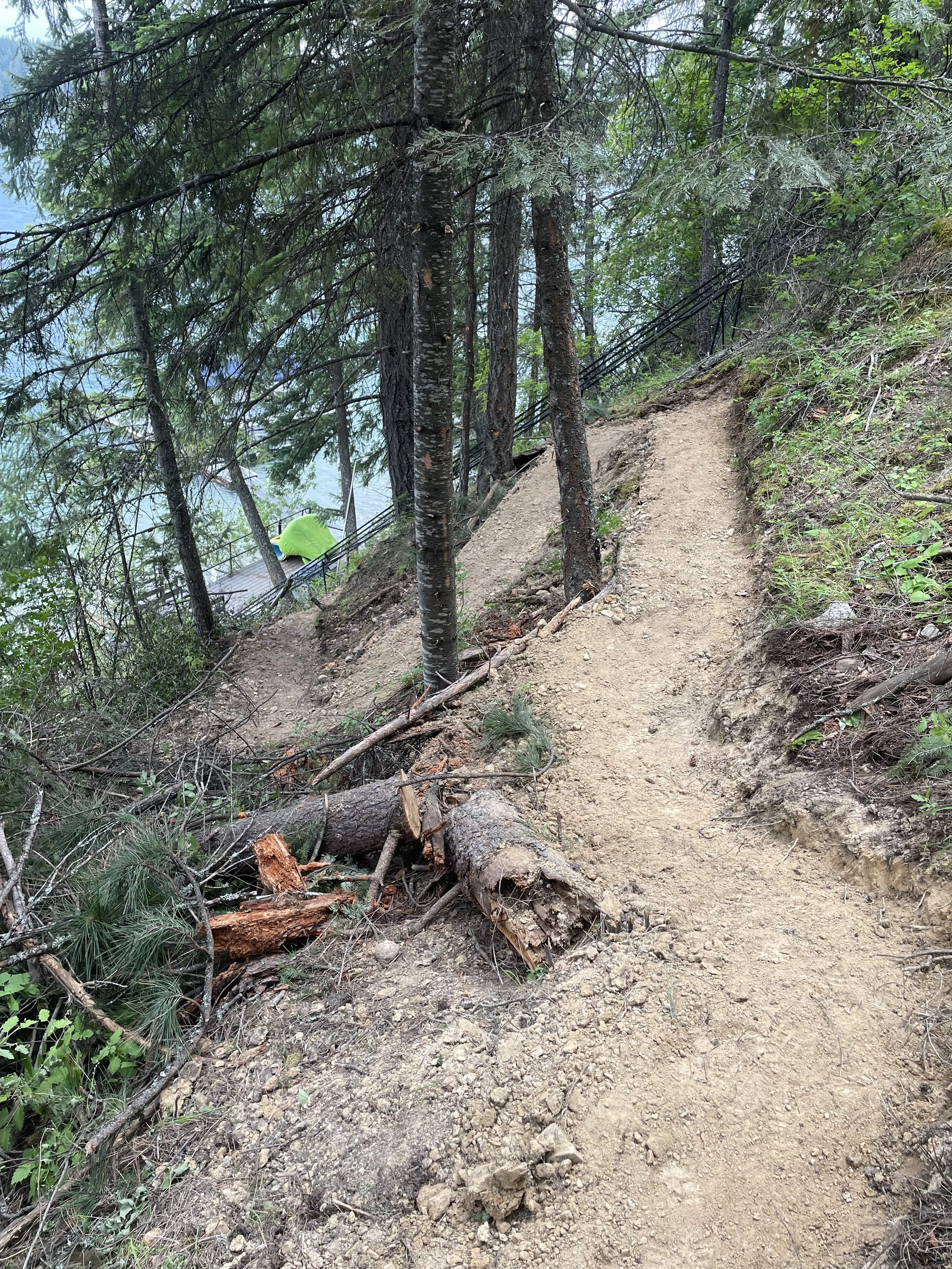 A dirt trail on a hillside in a forested area, with trees on both sides and a felled tree across the path.