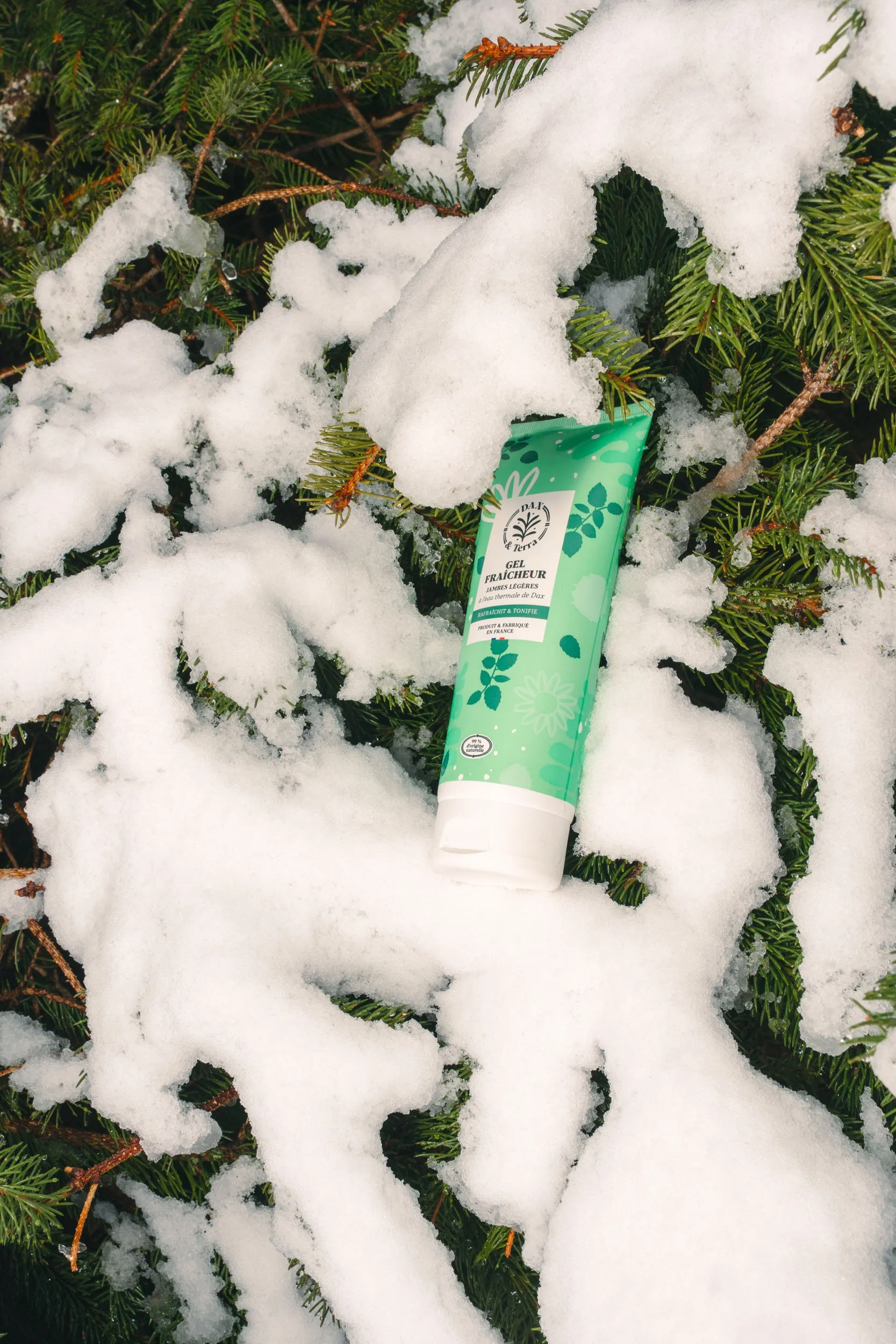 A green tube of floral gel with white caps, labeled in French, lying on snow-covered pine branches.