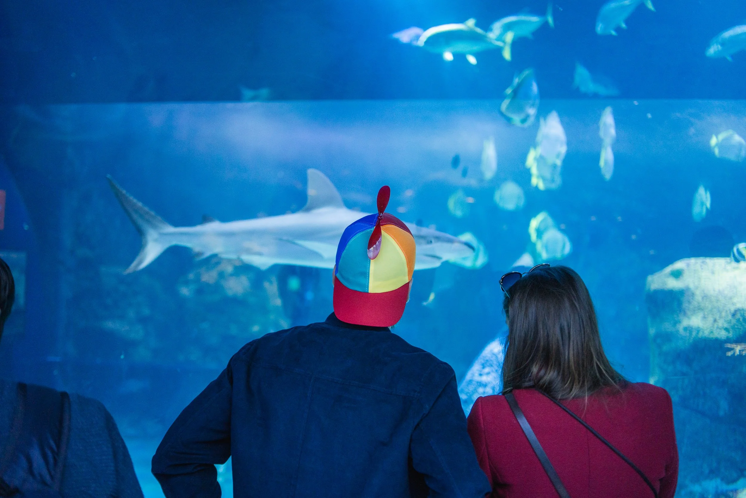 People viewing fish and a shark in an aquarium tank.