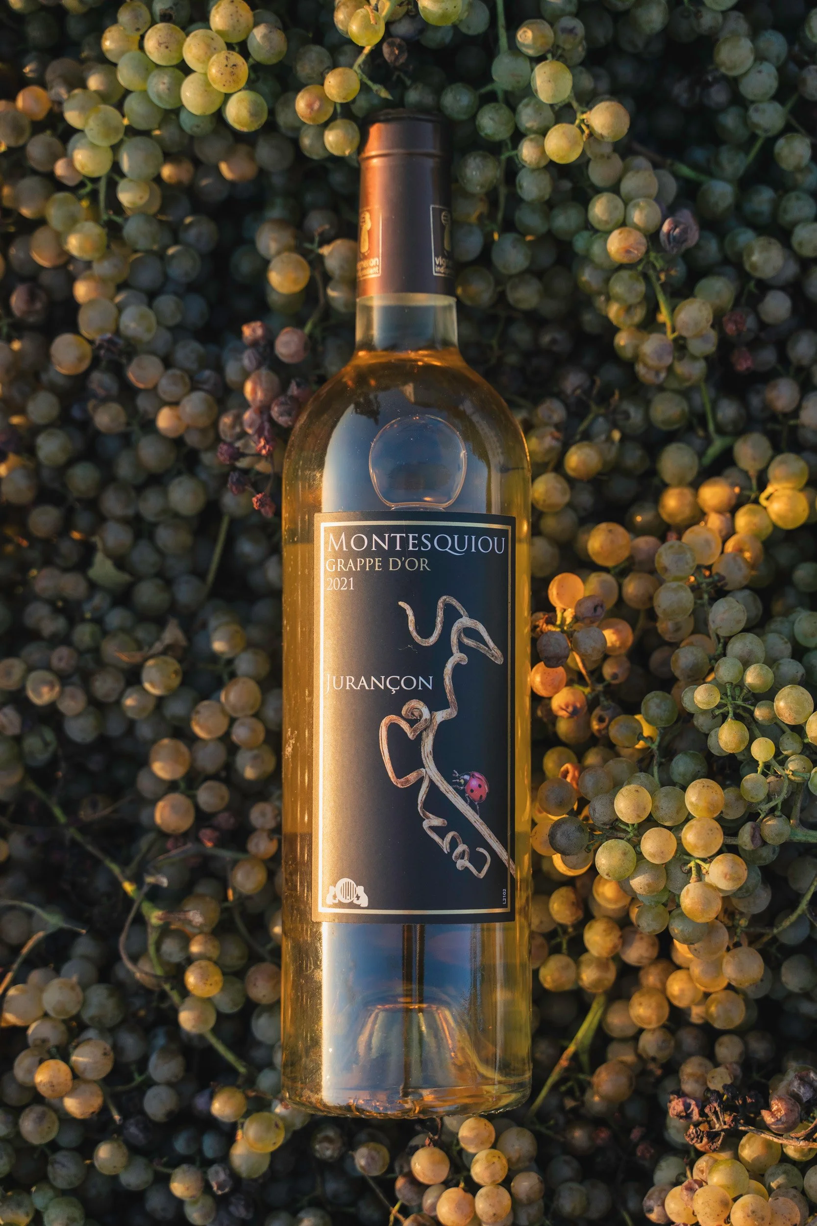 A bottle of Montesquiou Grape d'Or 2021 wine placed on a bed of green and purple grapes.