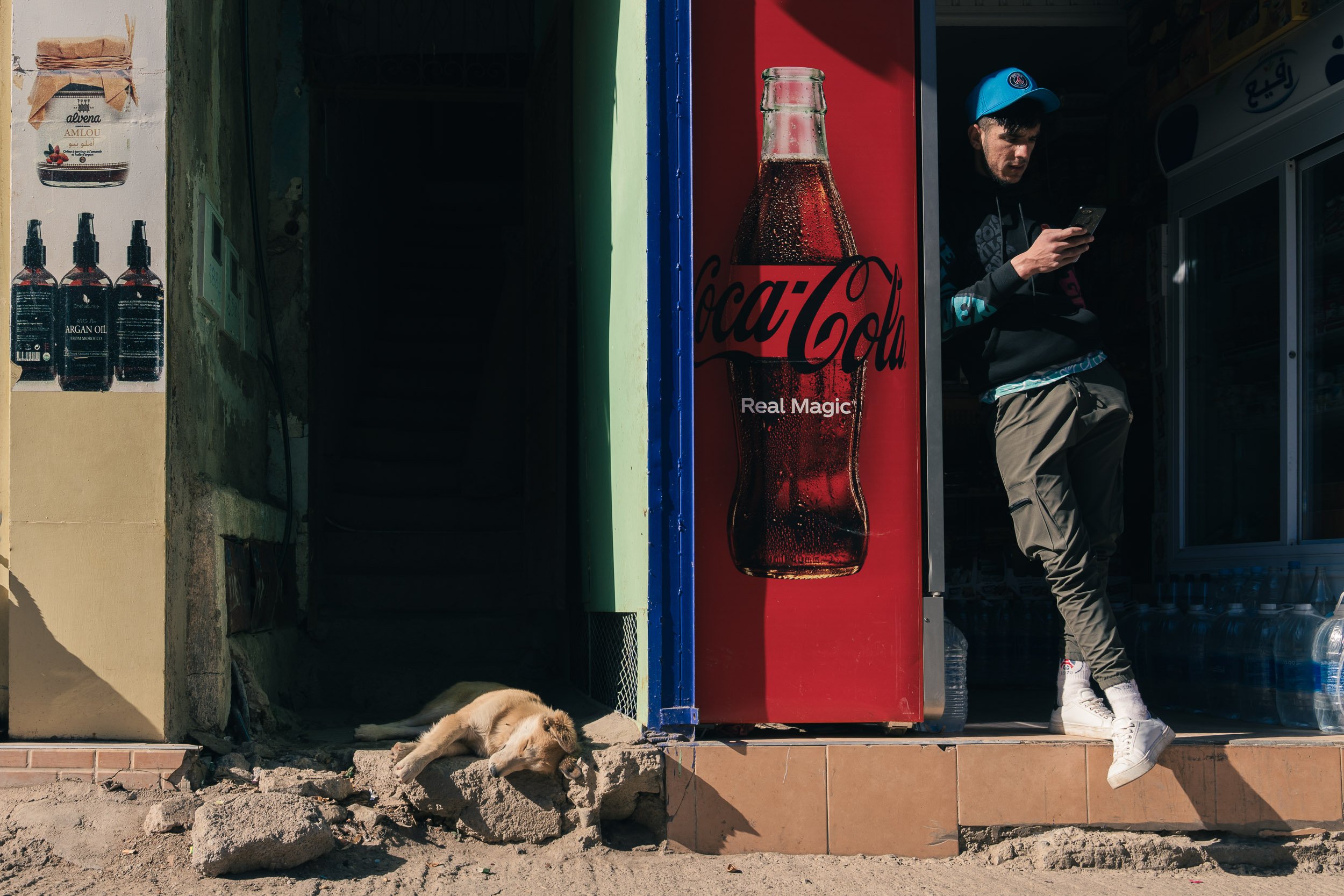 A young man in a black hoodie and beige pants standing outside a store, looking at his phone, next to a Coca-Cola vending machine. A dog is lying on the ground near the steps, resting in the sunlight.