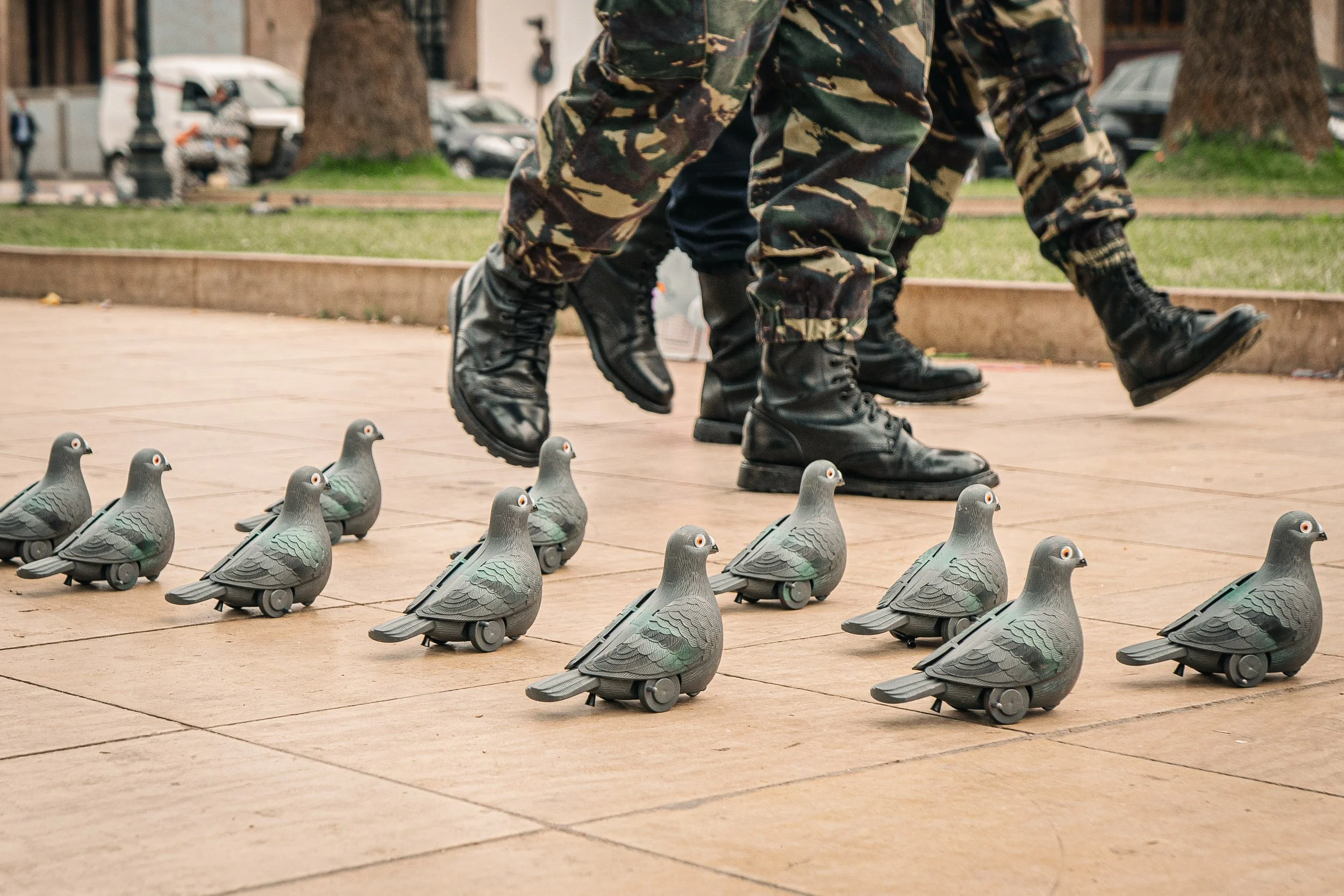 People in military camouflage pants and black boots walking past a line of toy pigeons with wheels on a paved outdoor area.