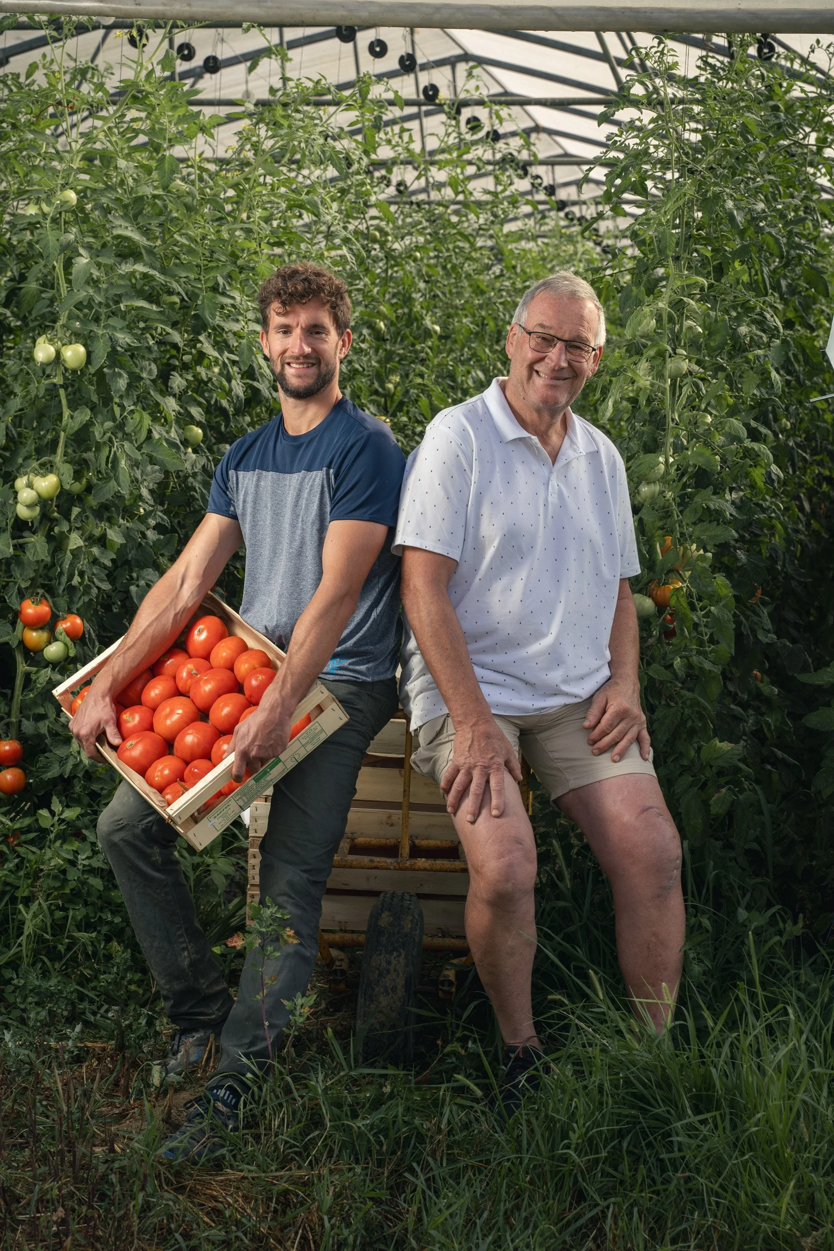 Two men sitting in a greenhouse surrounded by tomato plants, one holding a crate of ripe tomatoes and the other smiling.