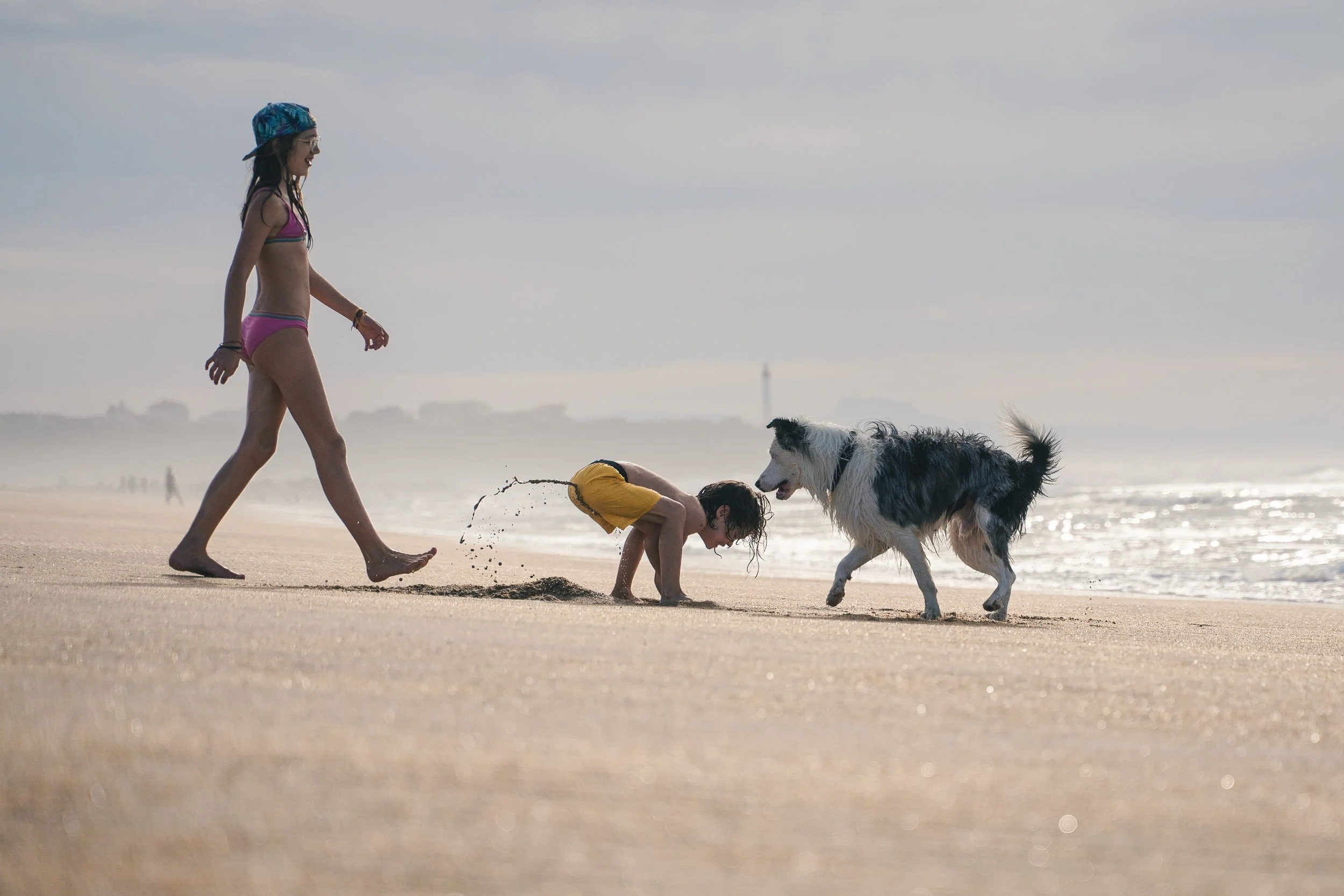 Two children and a dog playing on the beach. One child is crawling in the sand while the other walks behind, and the dog is running towards the crawling child. The beach and ocean are visible in the background, with cloudy sky.