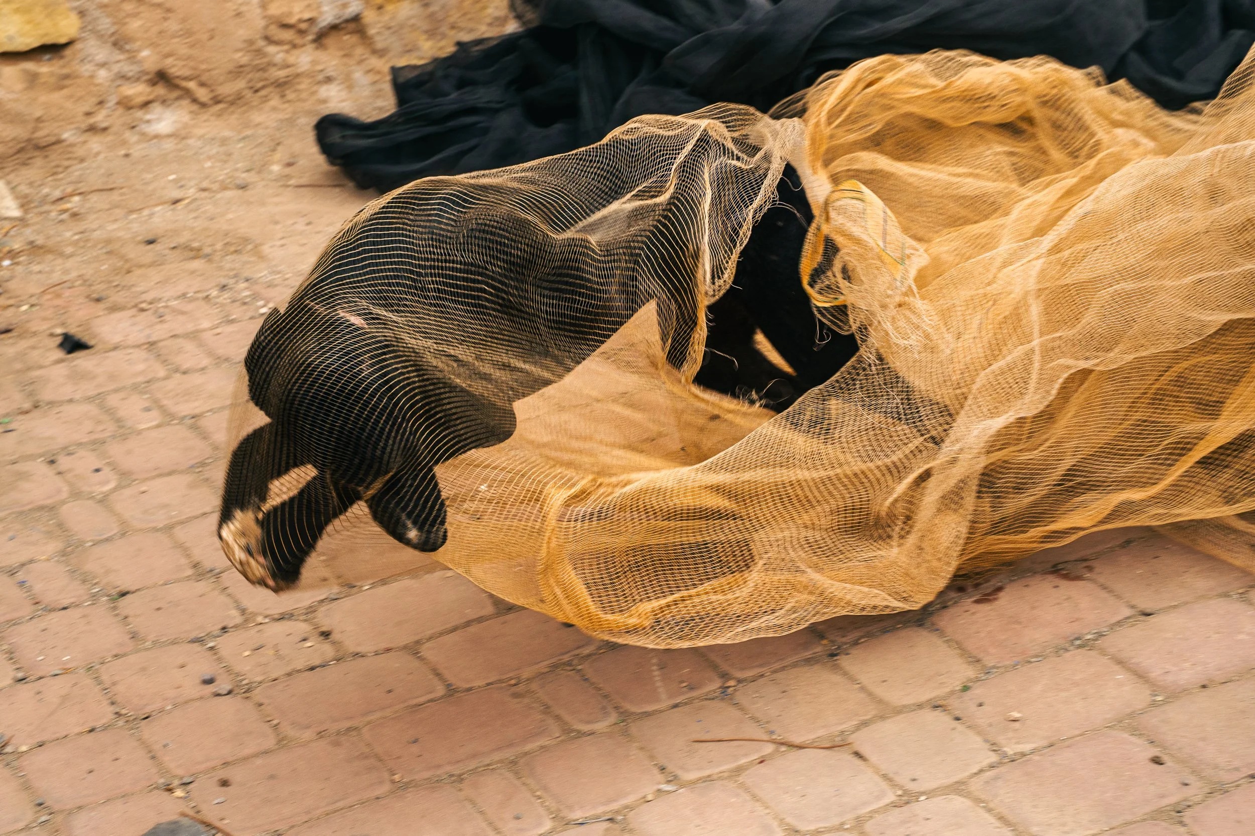A black and tan cat exploring an opening in a yellow mesh bag on a brick sidewalk, with some black fabric inside the bag.