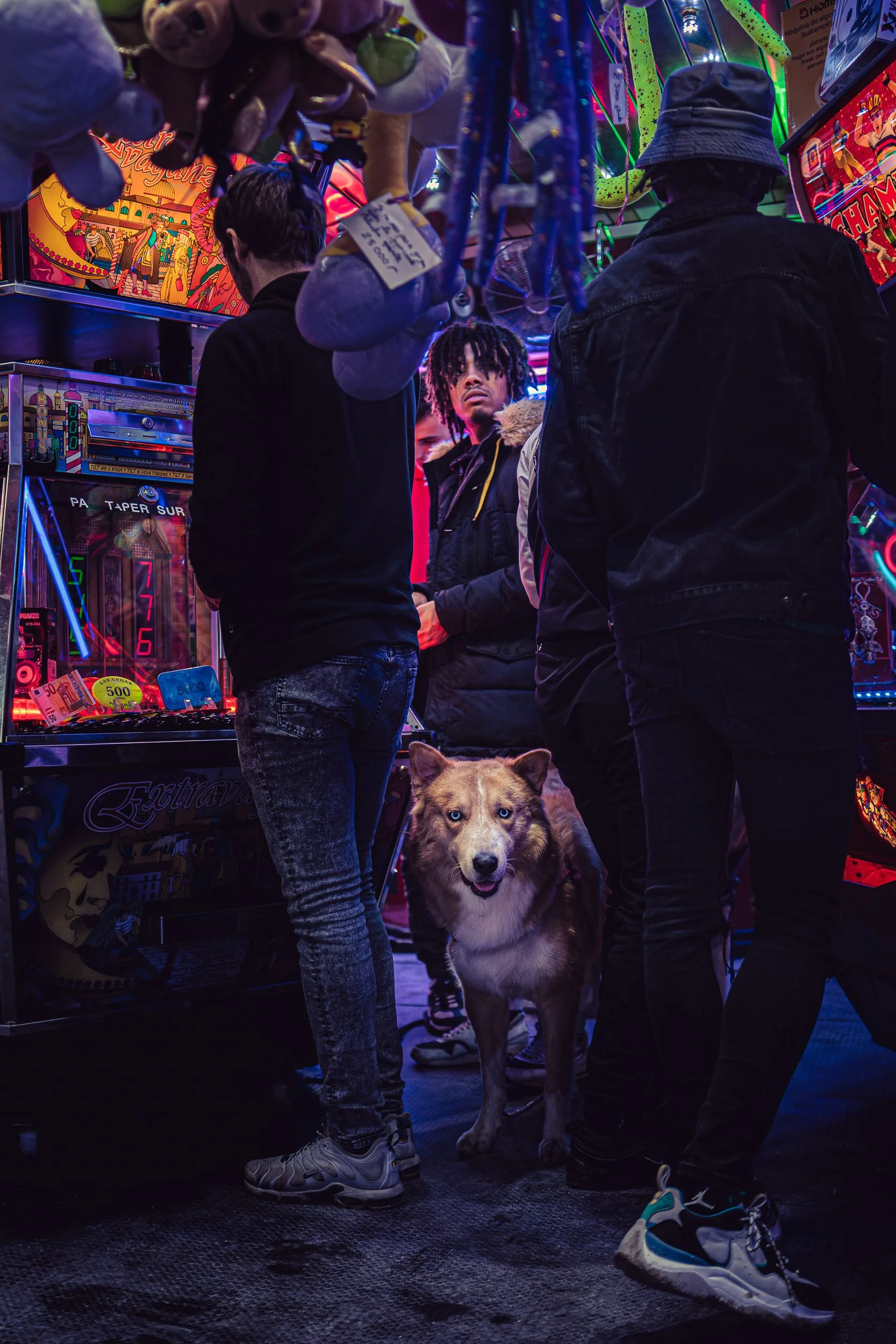 Three young men and a dog at a brightly lit arcade or game center, with plush toys hanging above and neon lights.