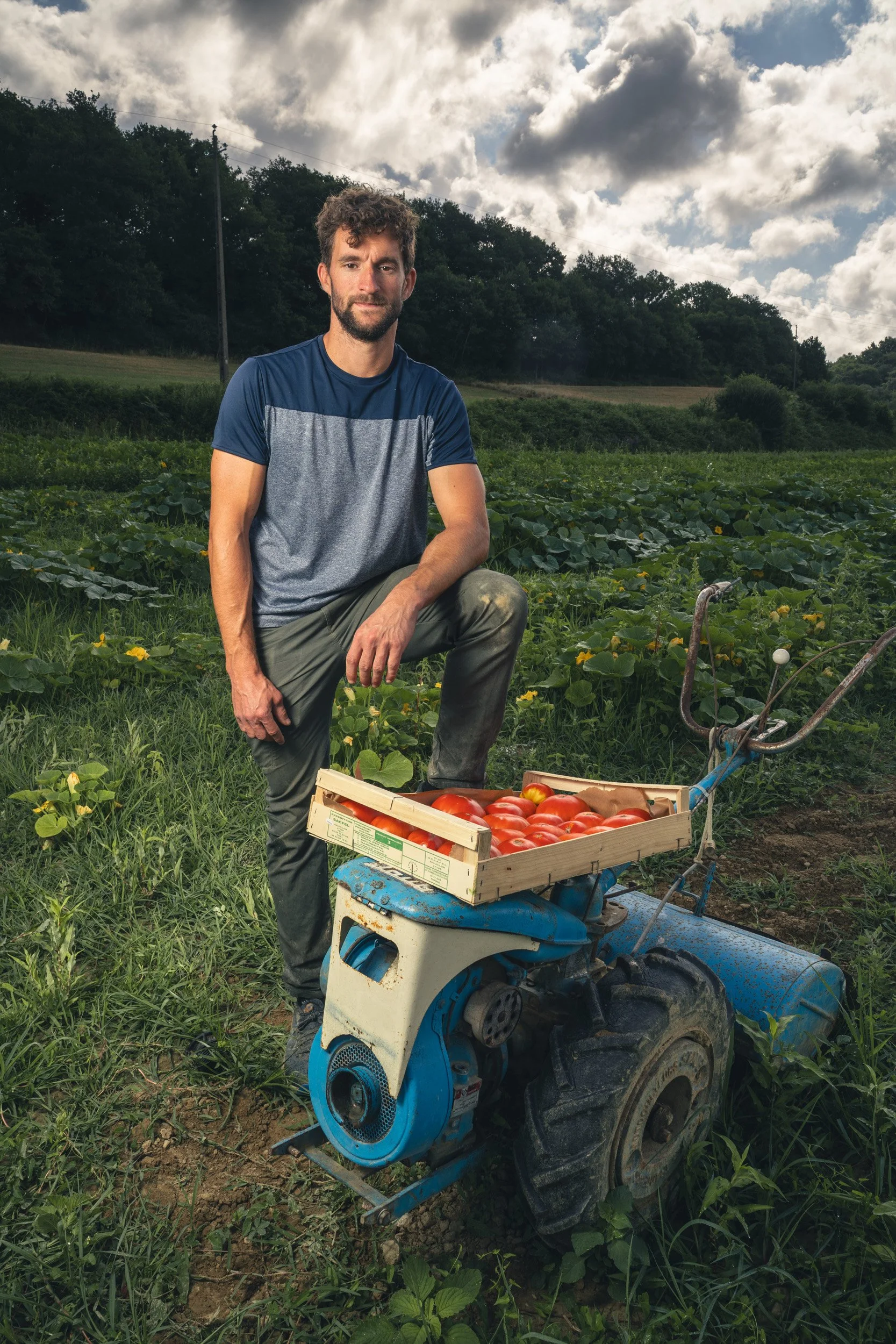 A man in a gray T-shirt and dark pants kneels next to a small blue tractor, which has a crate of ripe tomatoes on top. He is outdoors in a lush, green garden or farm with plants and trees under a partly cloudy sky.