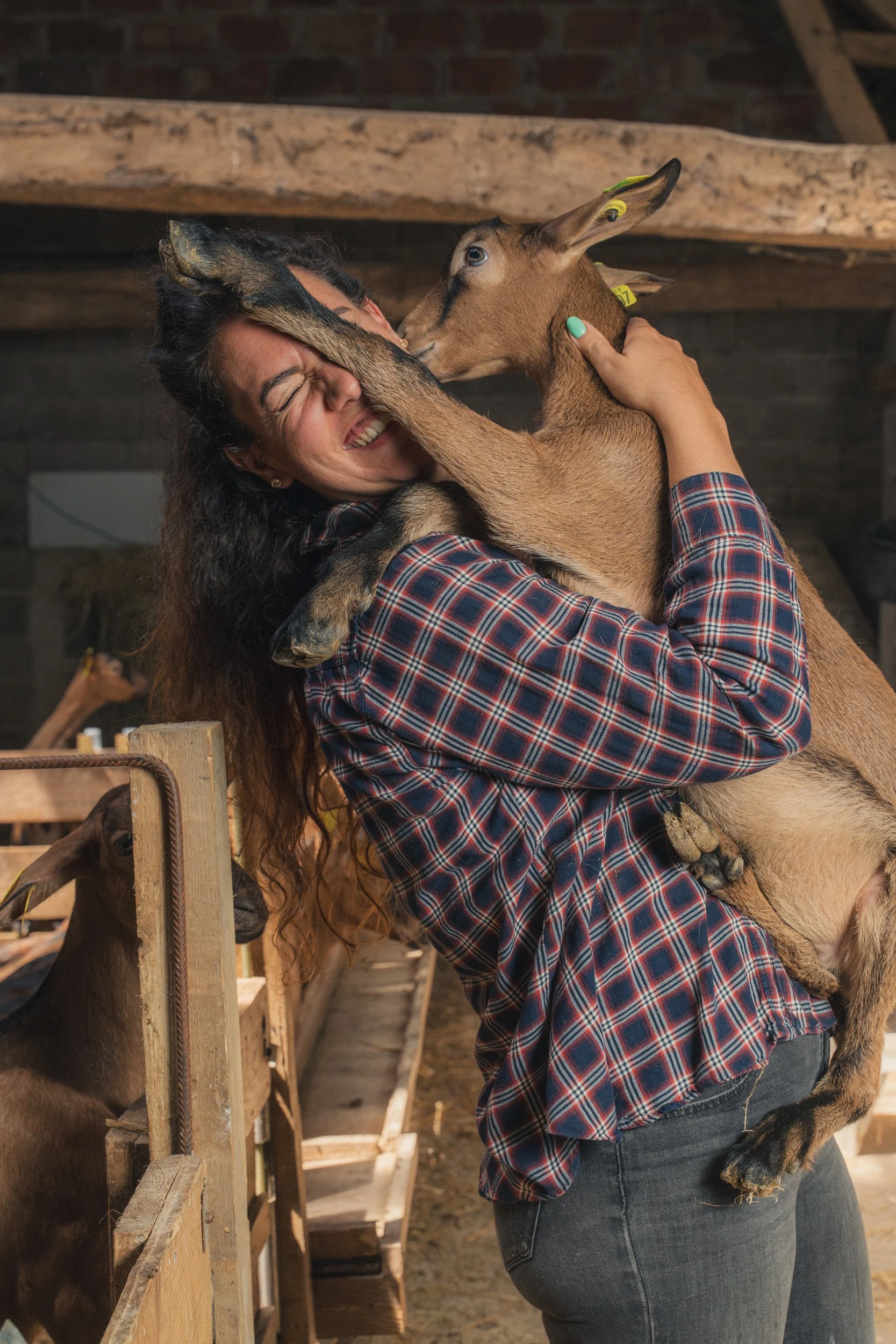 A woman smiling and hugging a baby goat inside a barn.