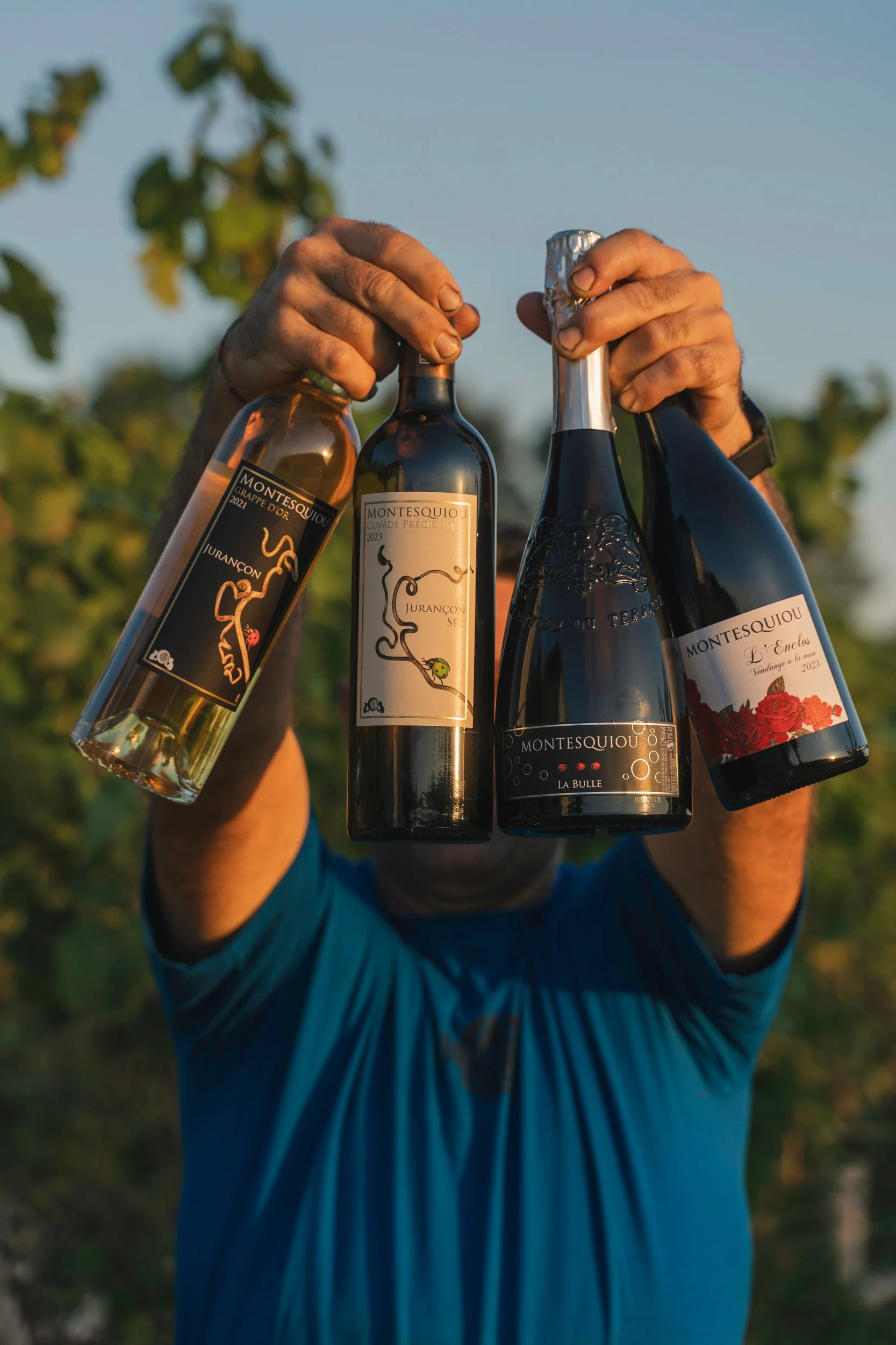 Person holding four bottles of wine outdoors during daytime, with trees in the background.