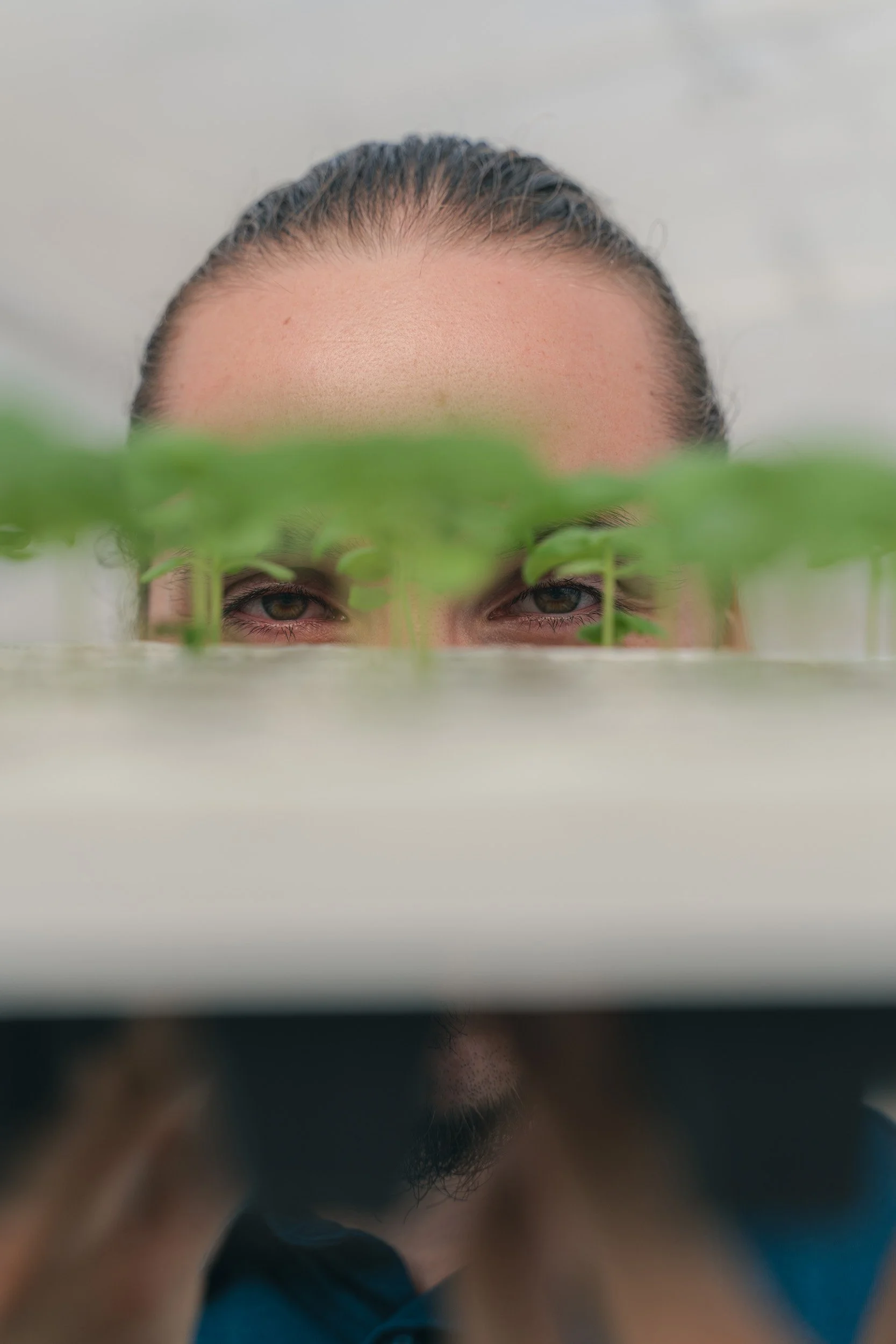 A person with brown hair and brown eyes peering over the edge of a surface with green plants in front of their face.