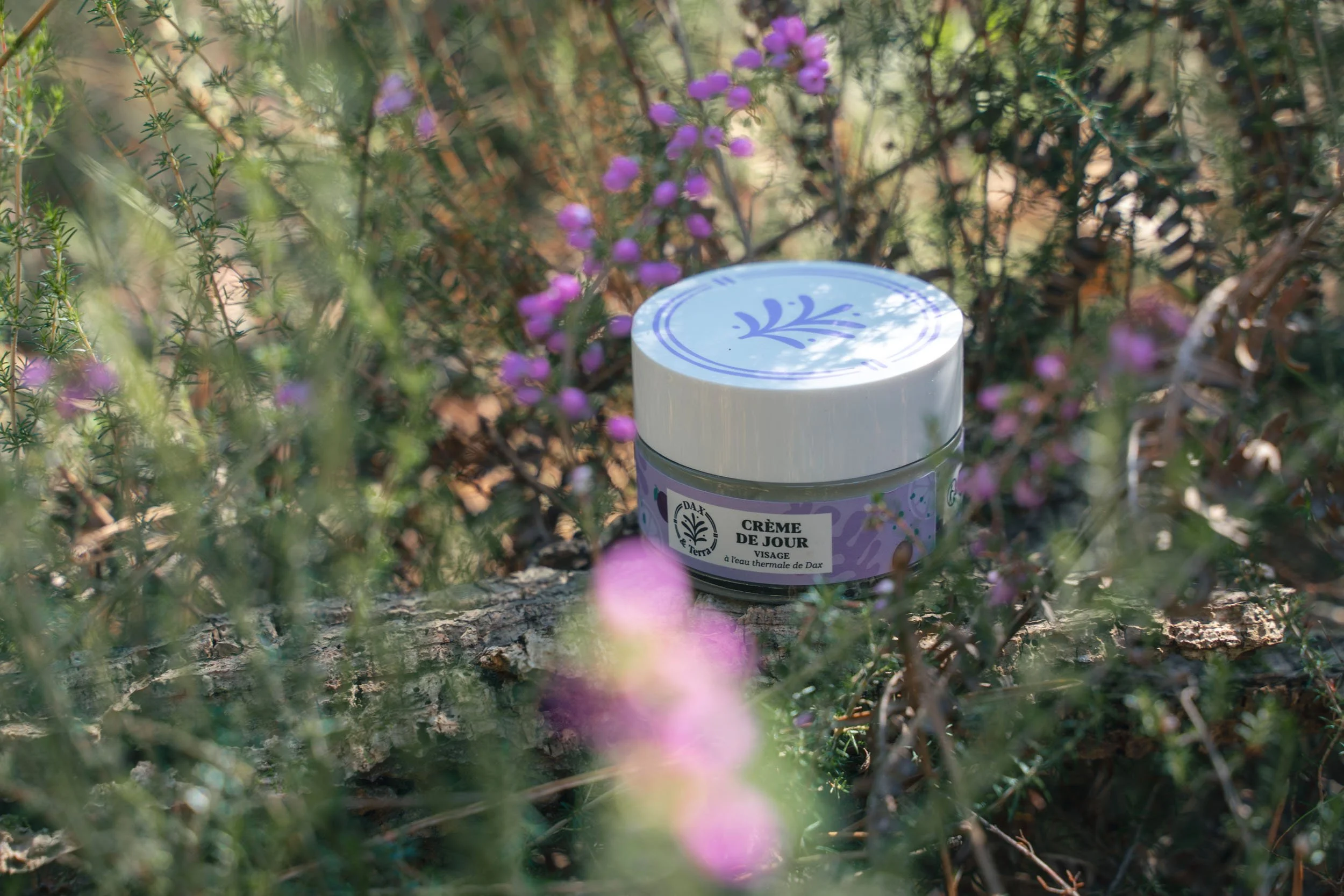 A jar of Dax Terre face cream placed among green plants with purple flowers, outdoors on a tree trunk.