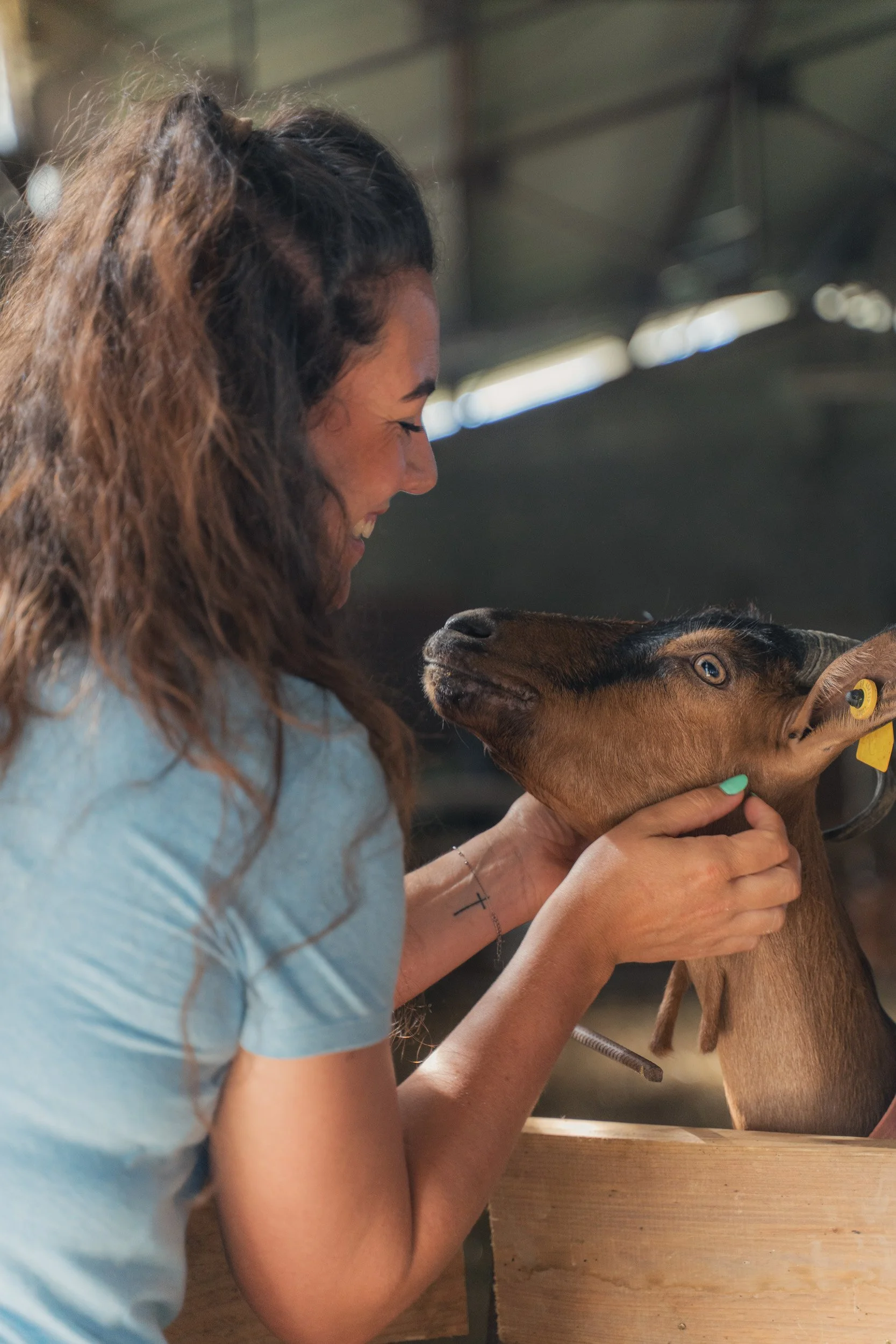 A woman smiling and gently holding a young goat's head in a barn or farm setting.