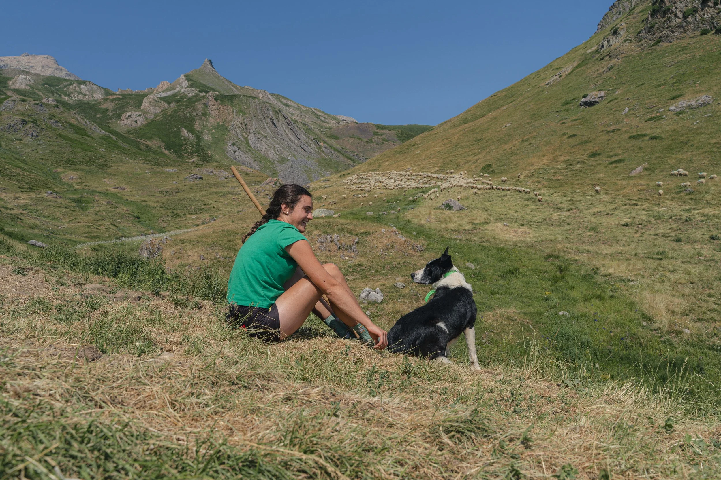 A woman sitting on the grass in a mountainous landscape with her black and white dog. The woman is smiling and holding a walking stick; she is dressed in a green shirt and black shorts. Sheep are grazing on the hills in the background under a clear b