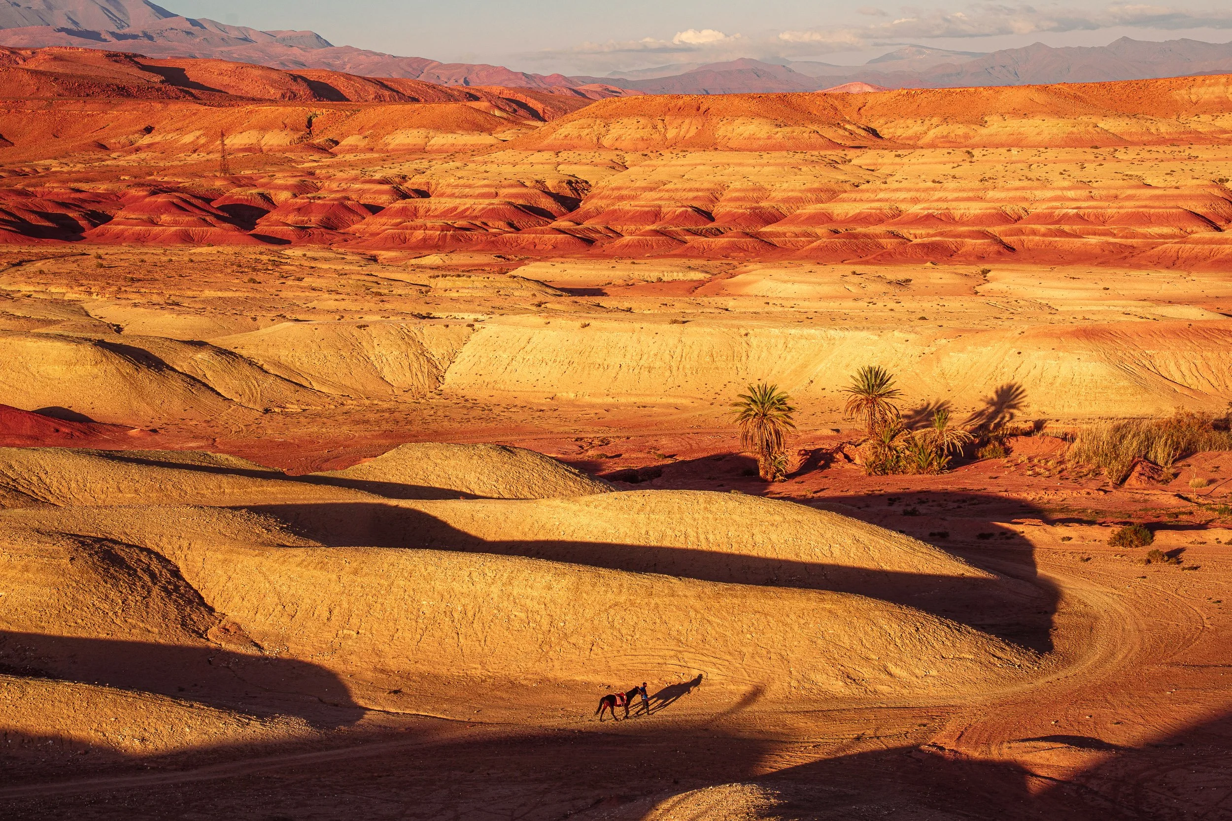 Desert landscape with colorful layered hills, palm trees, and a person riding a horse in the foreground.