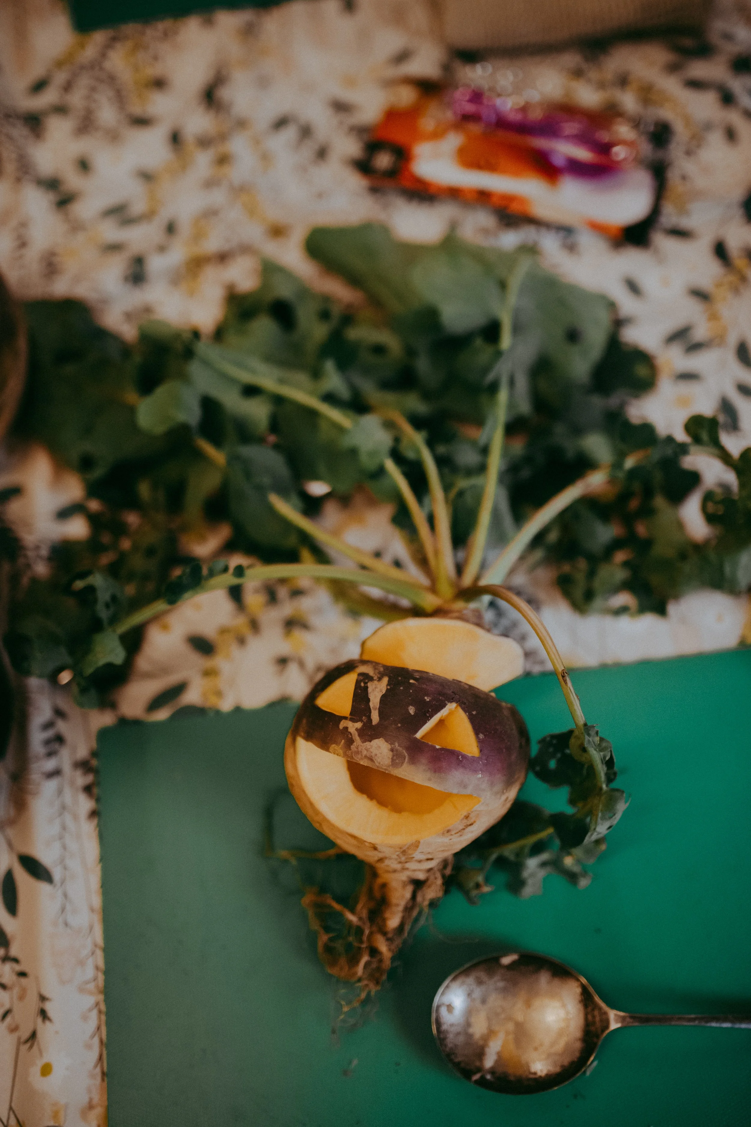A carved turnip with a face, green leafy plant, and a halved pumpkin on a green surface. There is a spoon with pumpkin seeds and pulp.