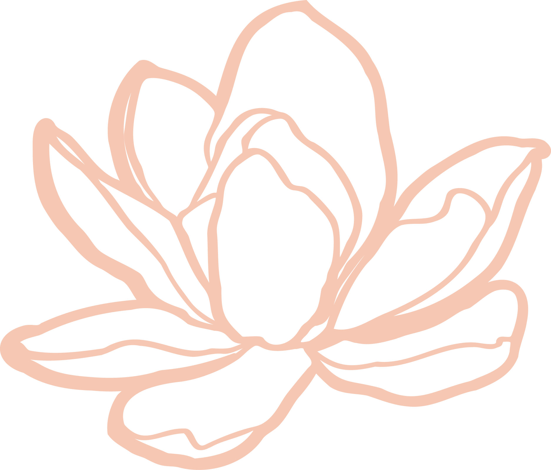 Outline drawing of a magnolia flower in light beige color with multiple petals.