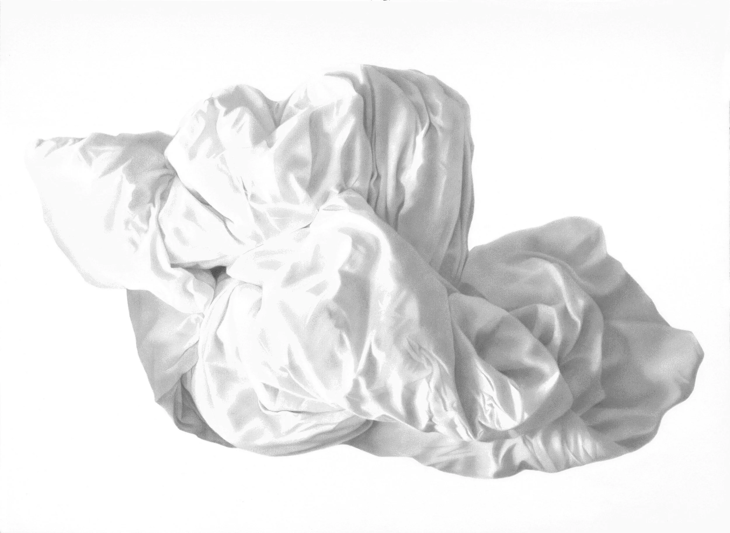 Duvet V lower quality (1).jpg