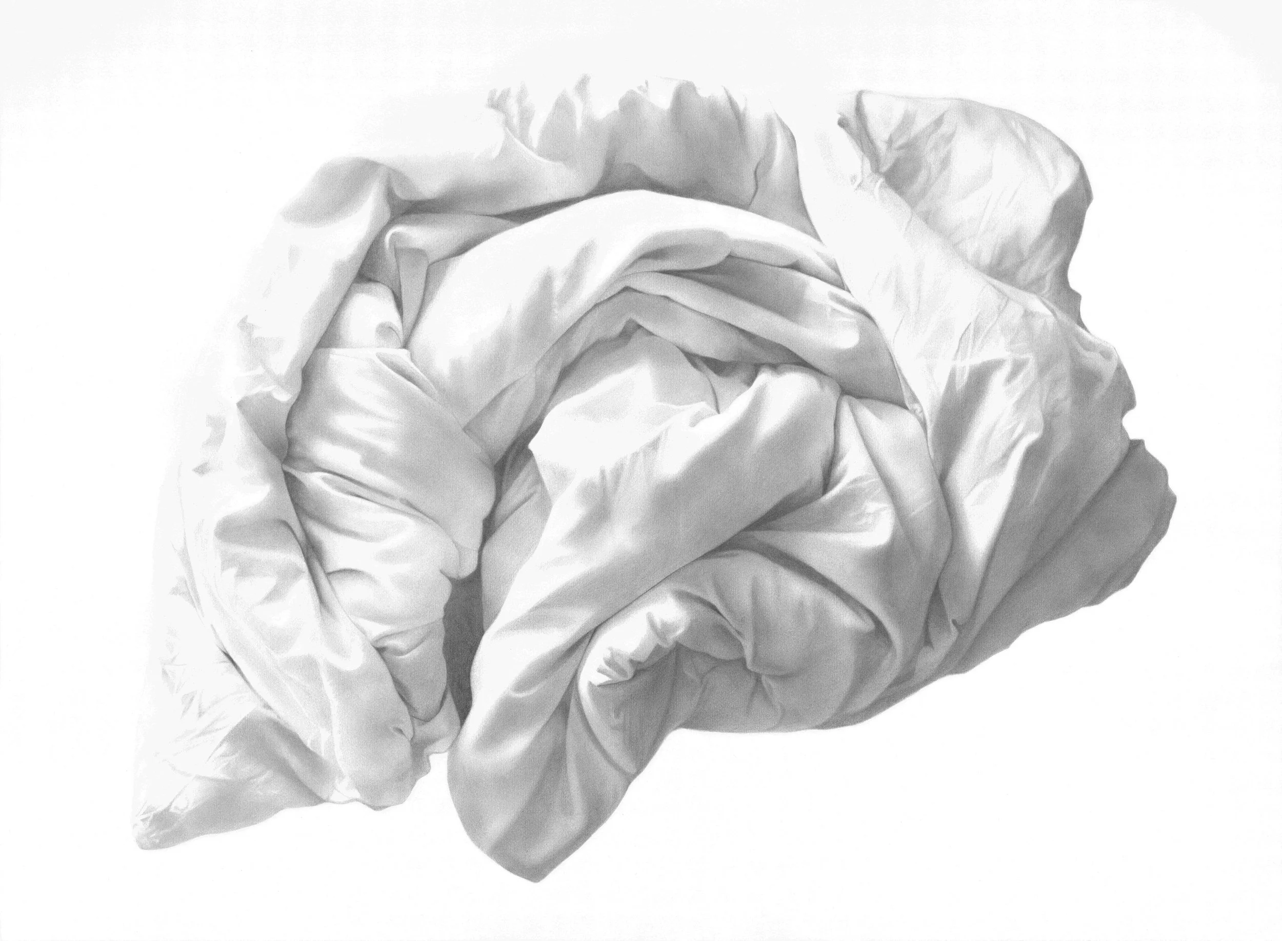 Duvet VIII - Copy low quality.jpg