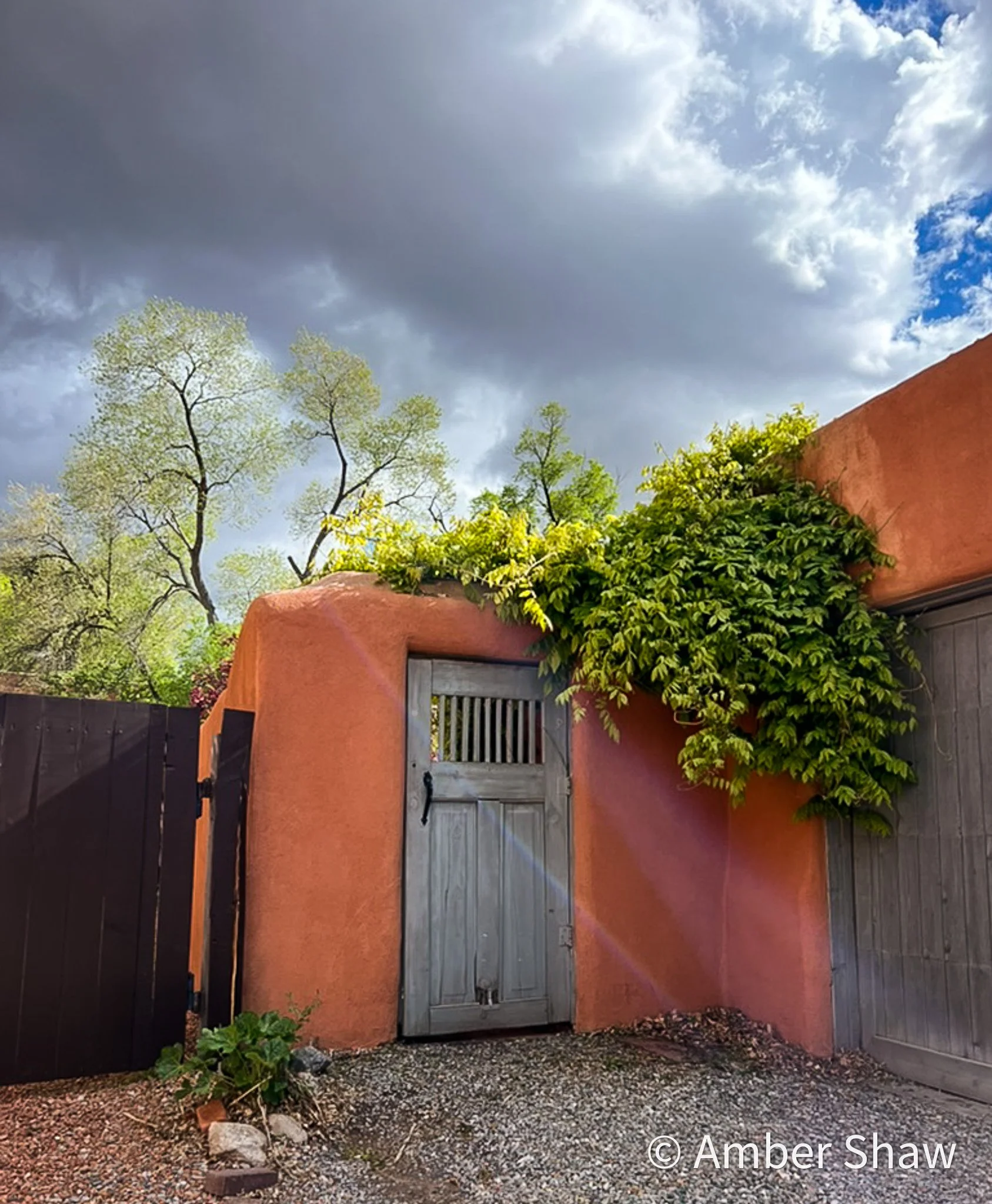 A rustic grey wooden door set in a warm orange adobe-style wall, with green vines growing over the top right corner, set against a backdrop of partly cloudy sky and tall trees.