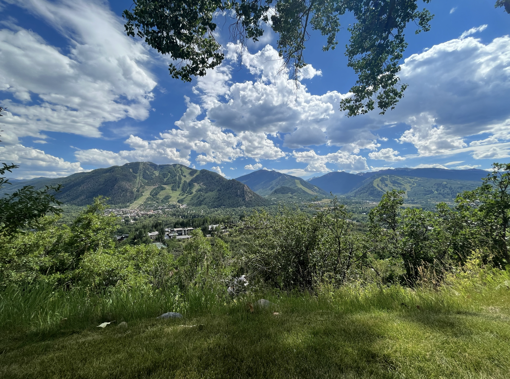 Captura de pantalla 2026-03-03 a las 8.12.21.png