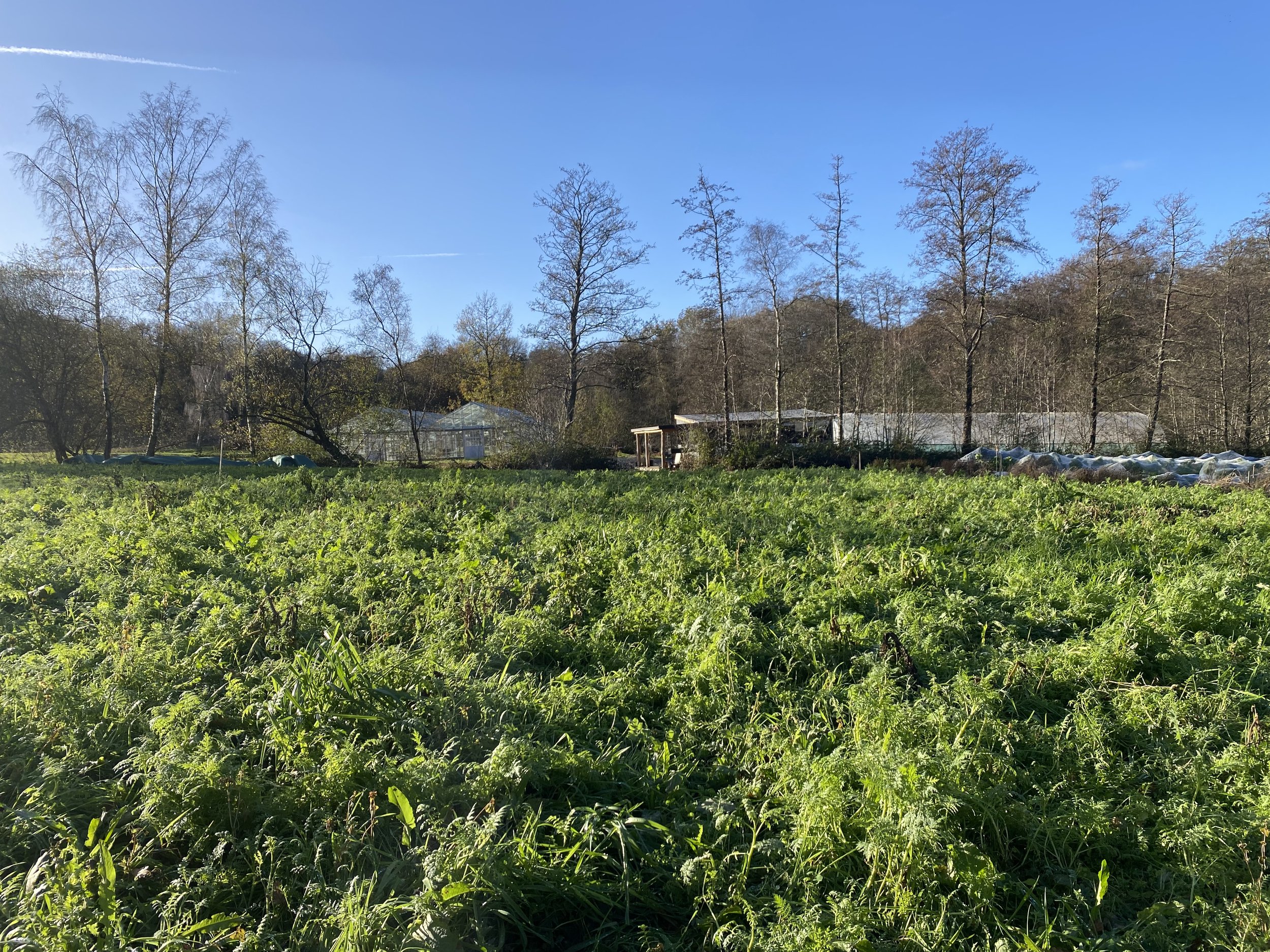 Farmacy Farm, Ashdown Forest, UK
