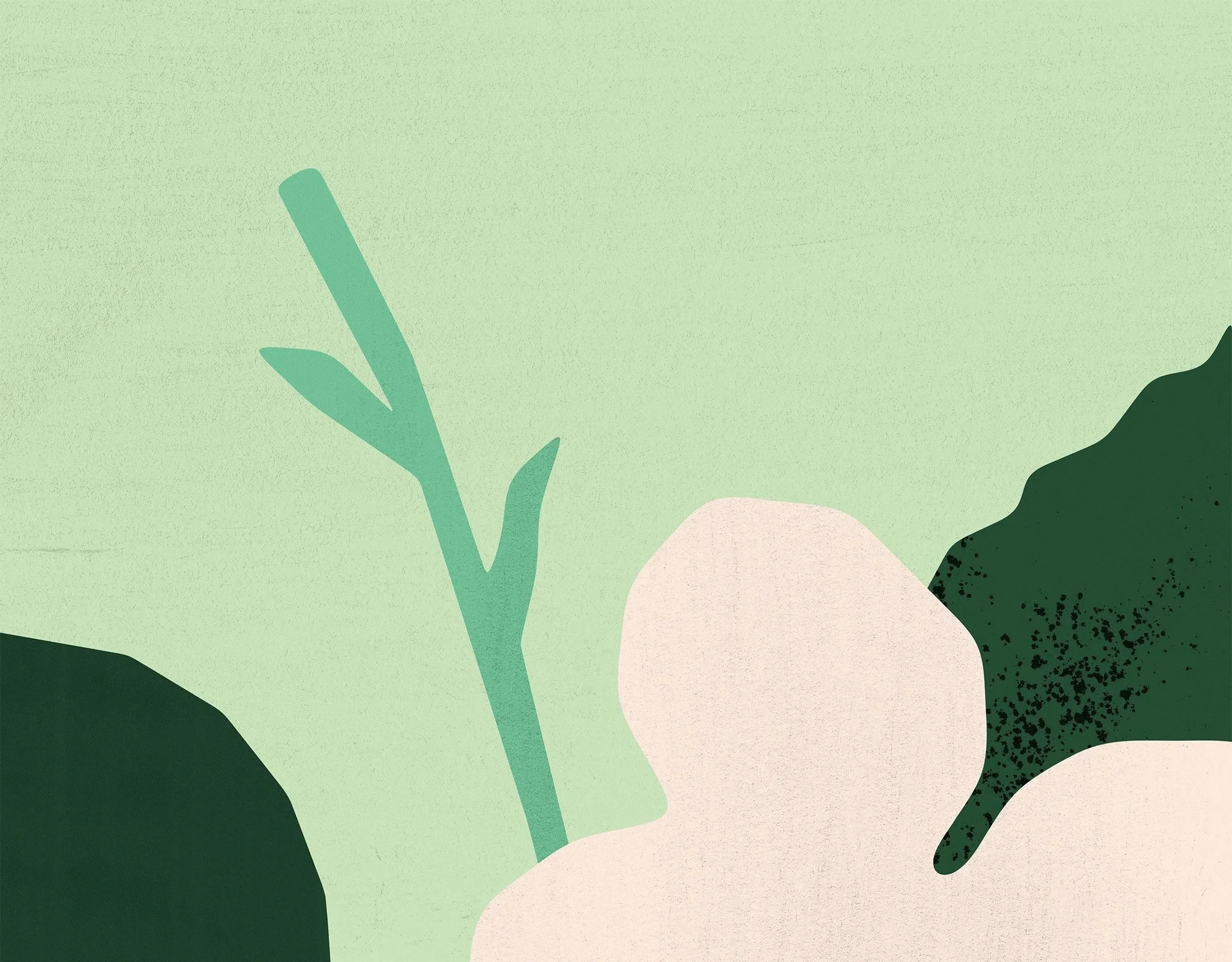 Abstract illustration of green leaves and stems against a light green background.