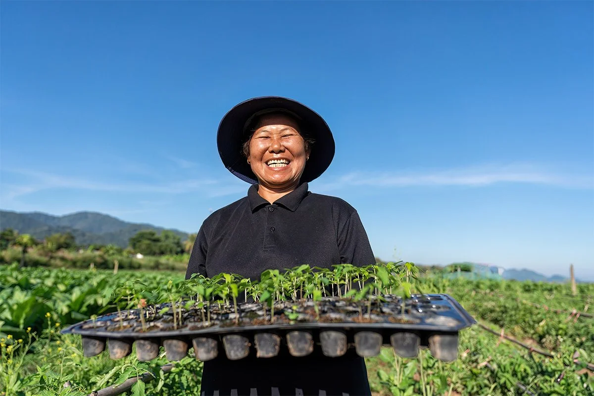 farmer smiling holding a tray of seedlings in a field