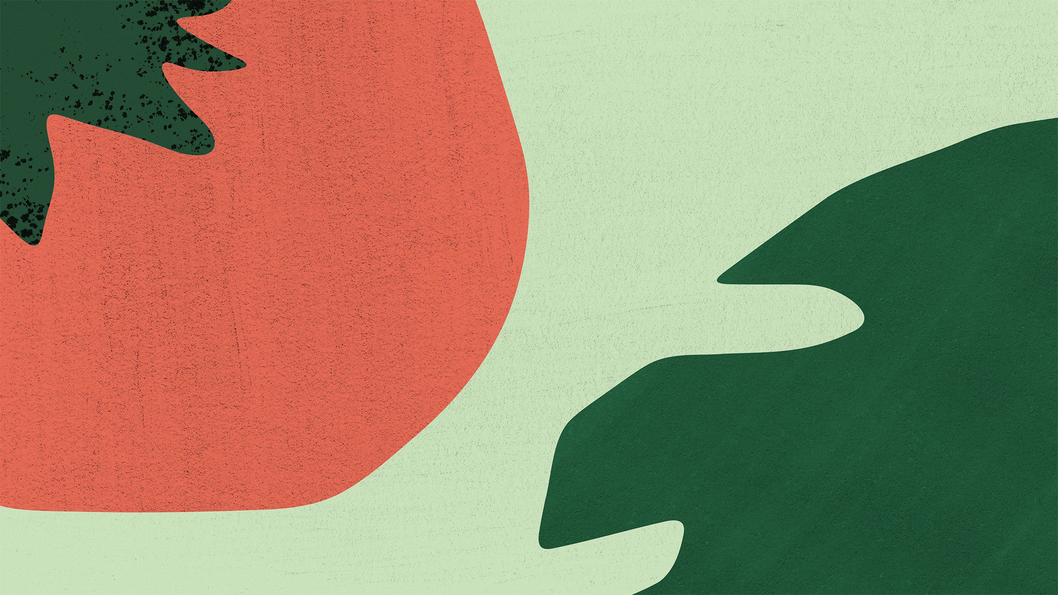 Abstract illustration with green leaves and a large red circle on a light green background.