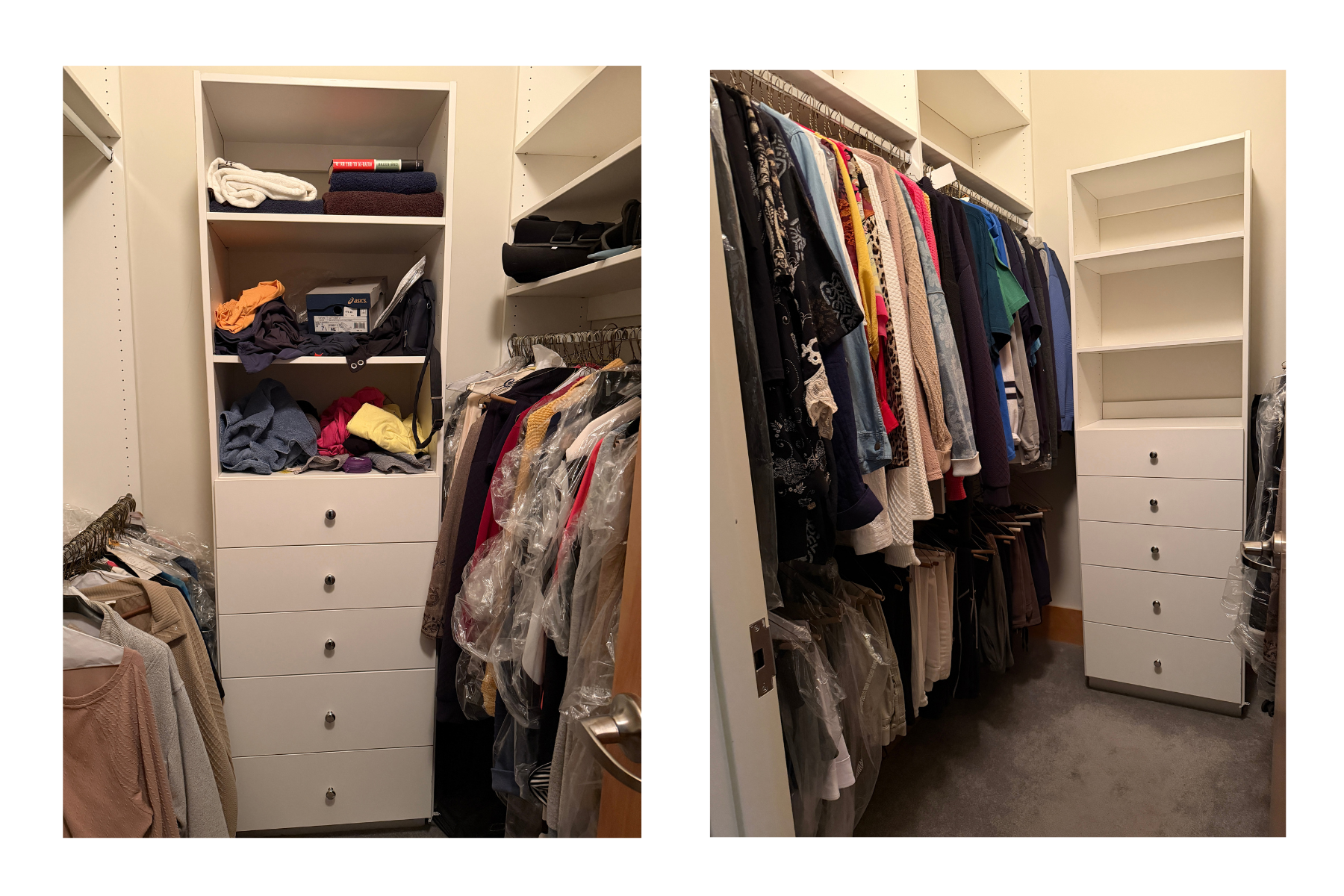 Untitled design (3).png