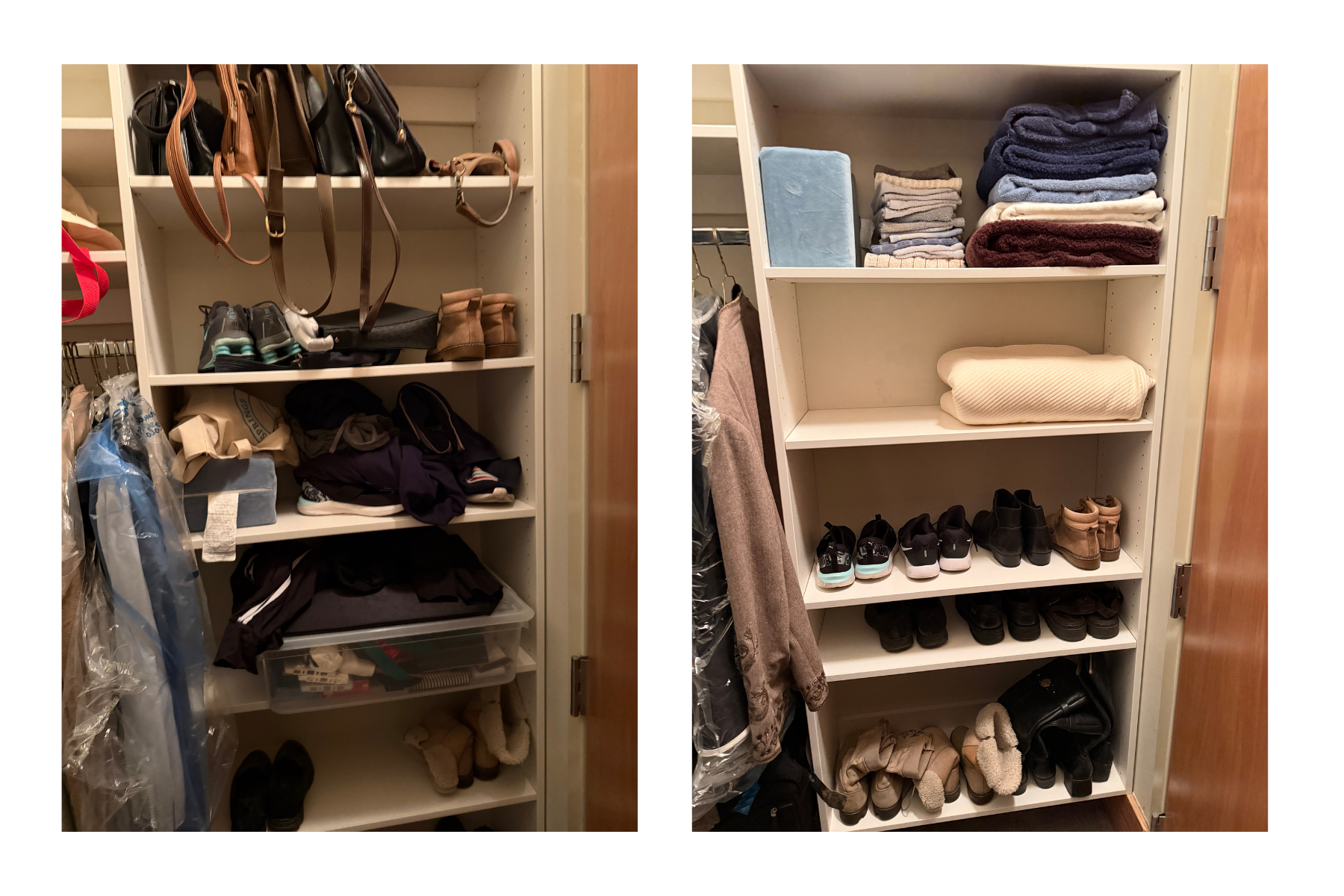 Untitled design (2).png