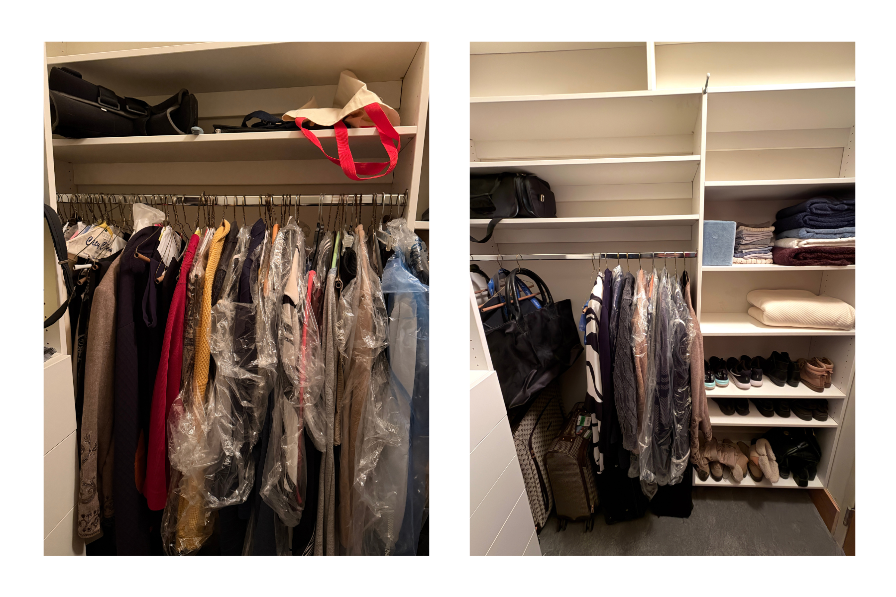 Untitled design (4).png