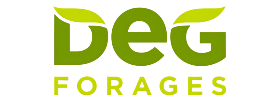 Deg Forages