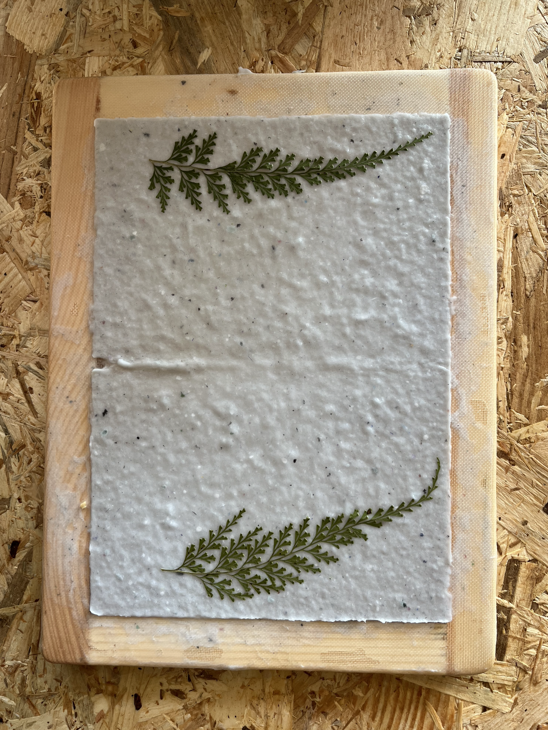 Screenshot 2026-03-03 at 23.02.13.png