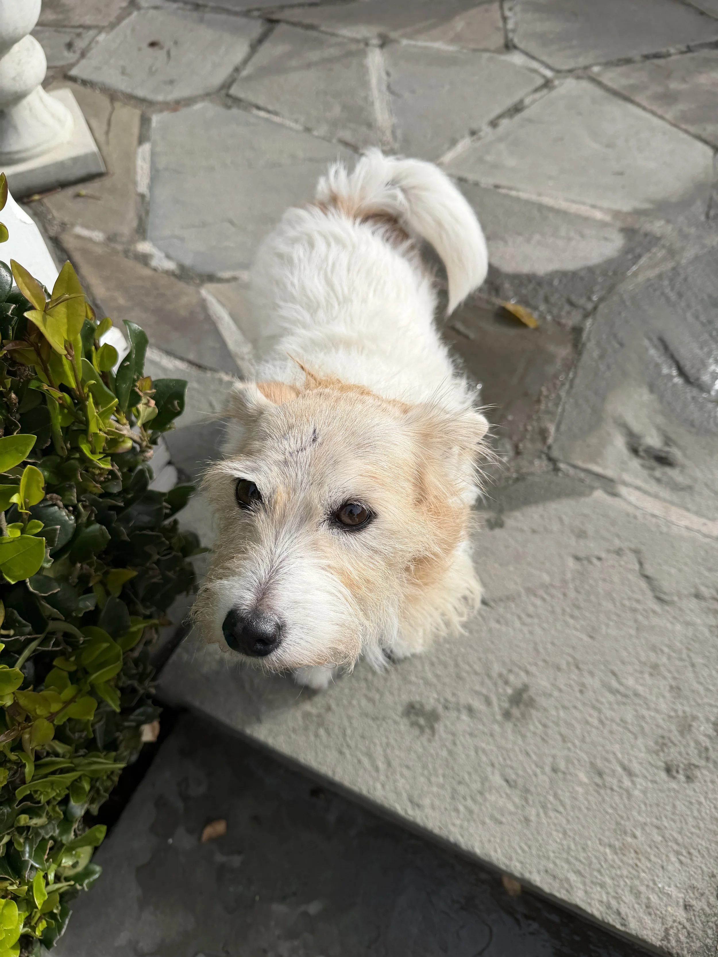 The Weekly Maintenance