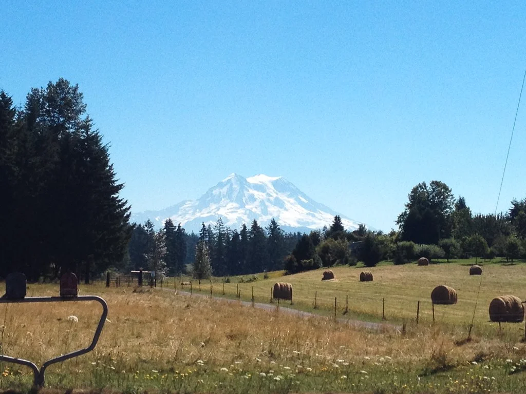 Mount Rainier across the valley floor
