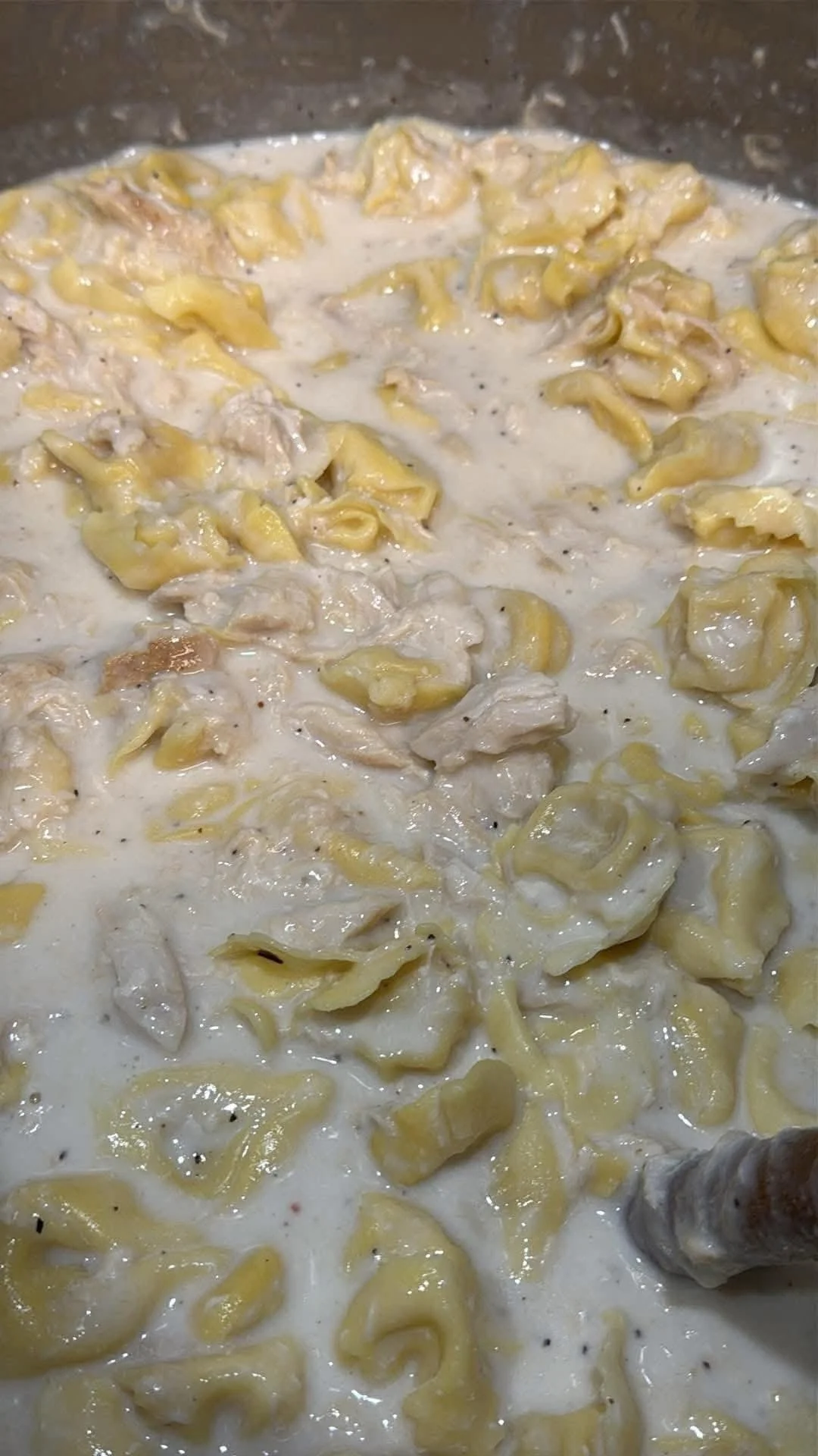 Chicken Alfredo Tortellini
