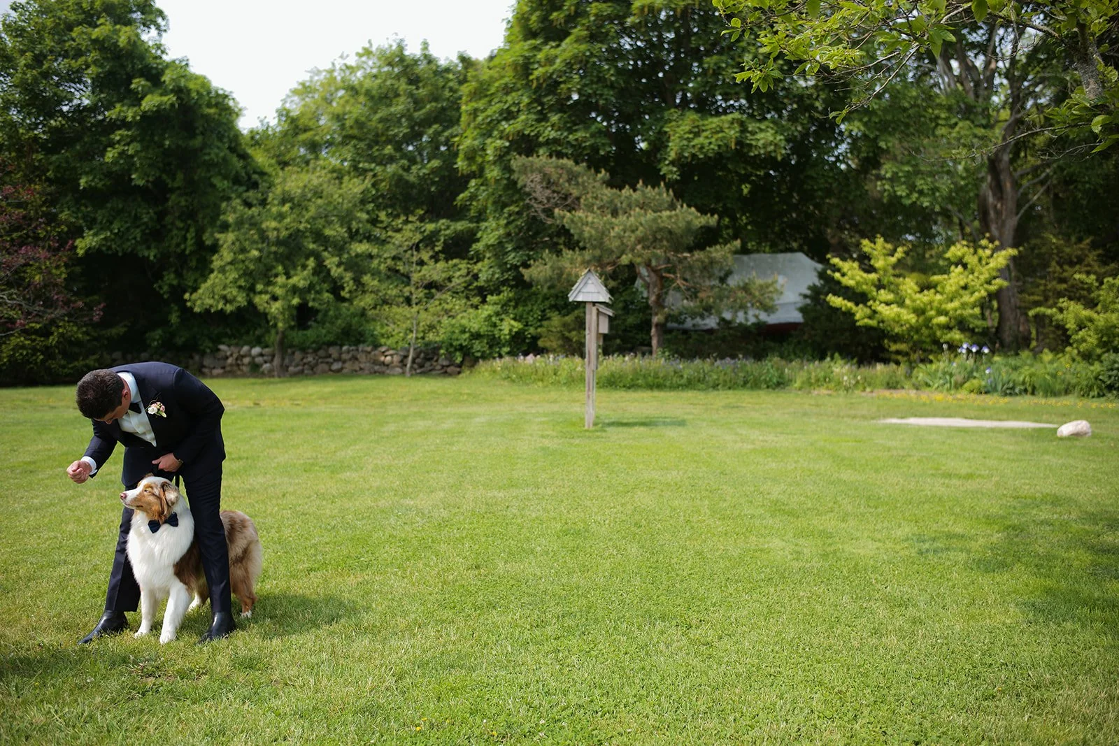 A man in a formal suit with a boutonniere, bending down with a dog wearing a bow tie in a park with green grass and trees.