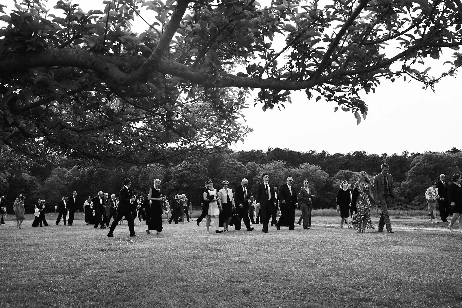 Black and white photo of a group of people walking across a grassy field, dressed in formal attire.