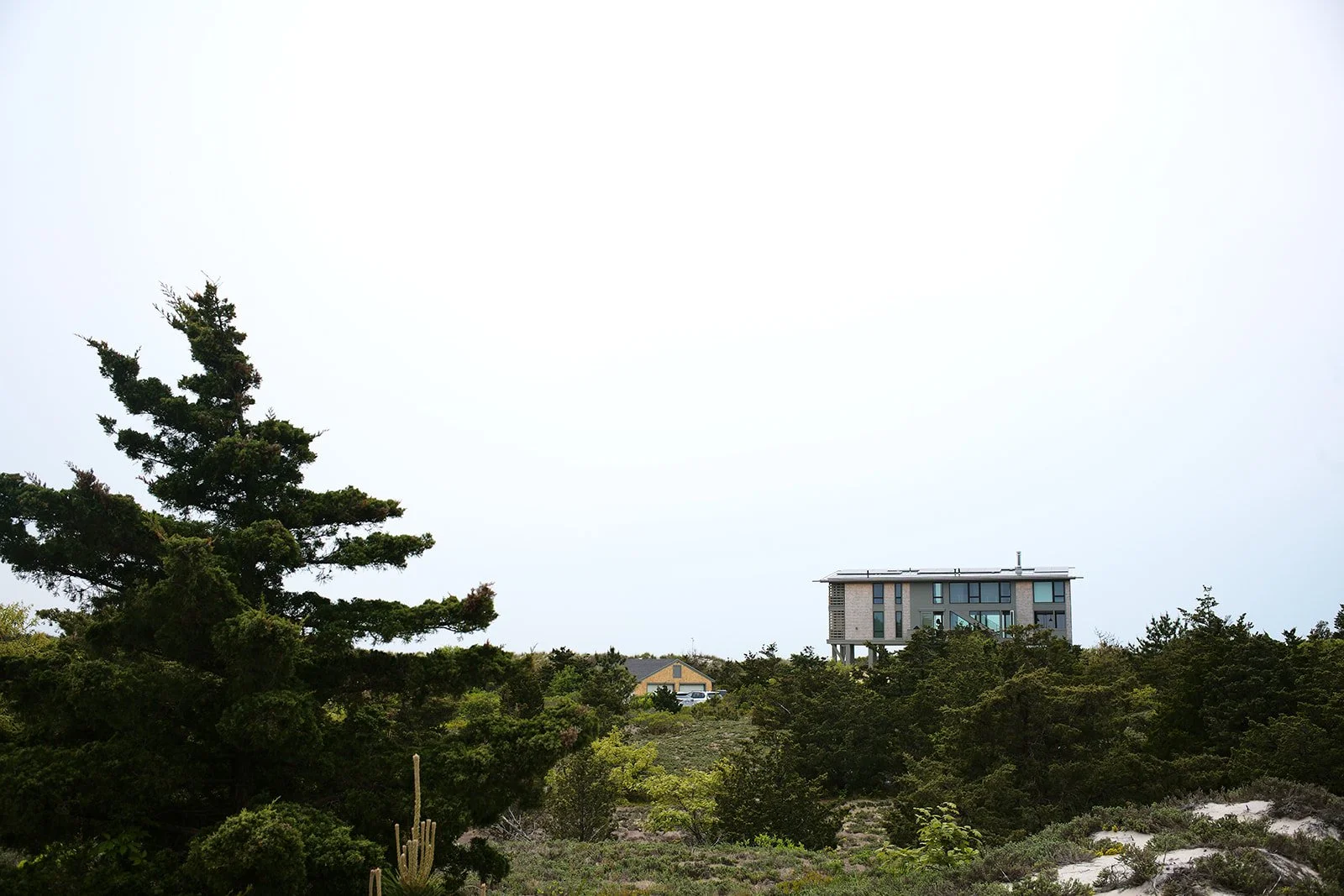 Residential house on a hill surrounded by trees and greenery under a cloudy sky.