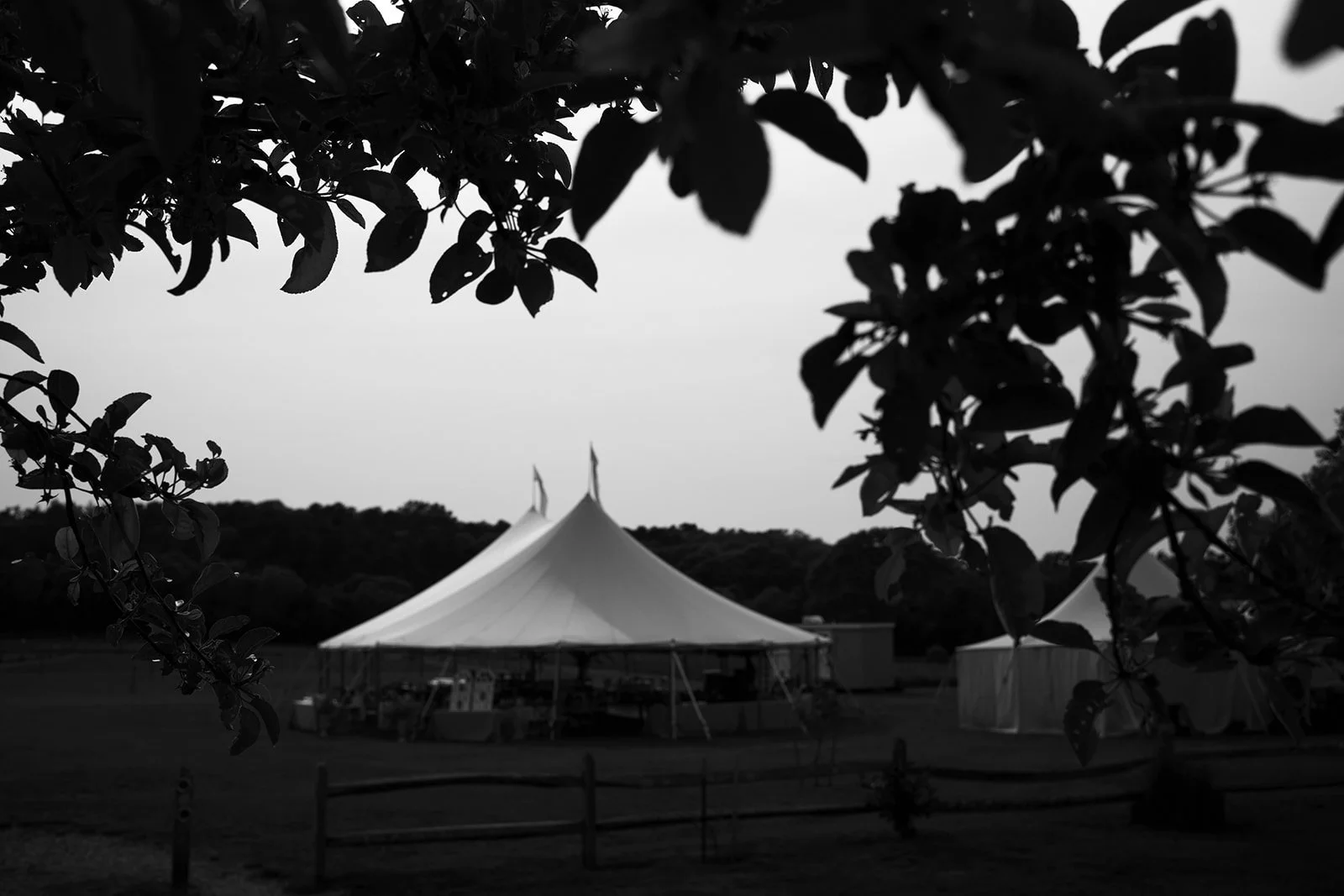Black and white photo of a large circus tent with a pointed top, framed by tree branches in the foreground, set against a cloudy sky.