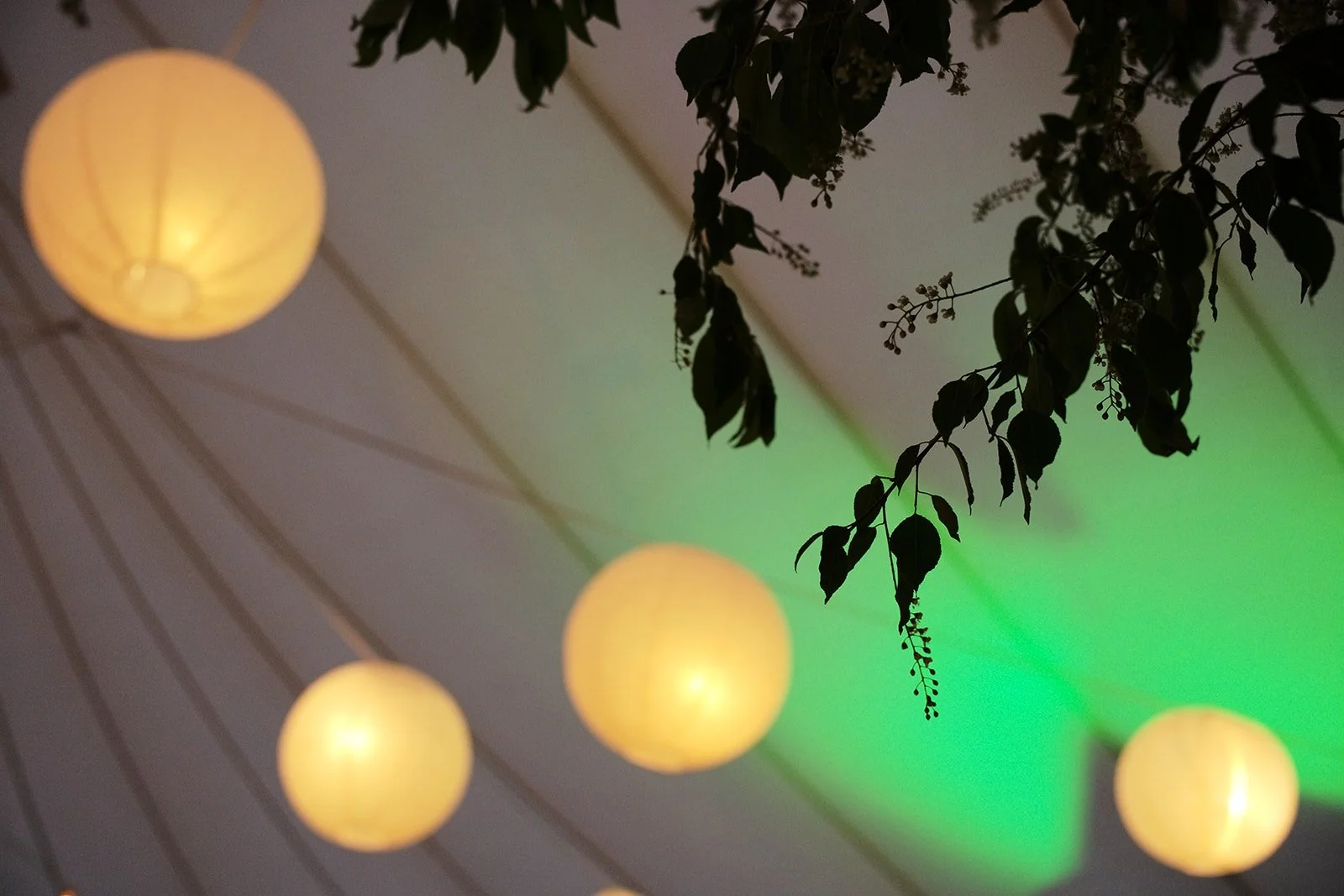 Hanging round yellow paper lanterns and green and black foliage against a ceiling, with a green-lit background.